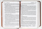 NIV Giant Print Compact Bible Brown (Red Letter Edition)