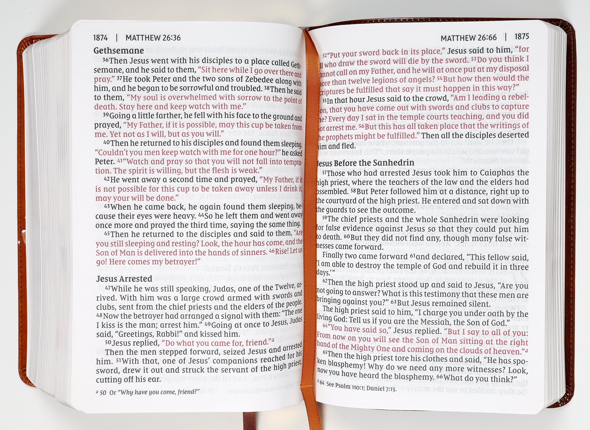 NIV Giant Print Compact Bible Brown (Red Letter Edition)