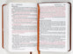 NIV Giant Print Compact Bible Brown (Red Letter Edition)