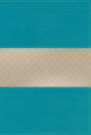 NIV Giant Print Compact Bible Teal (Red Letter Edition)