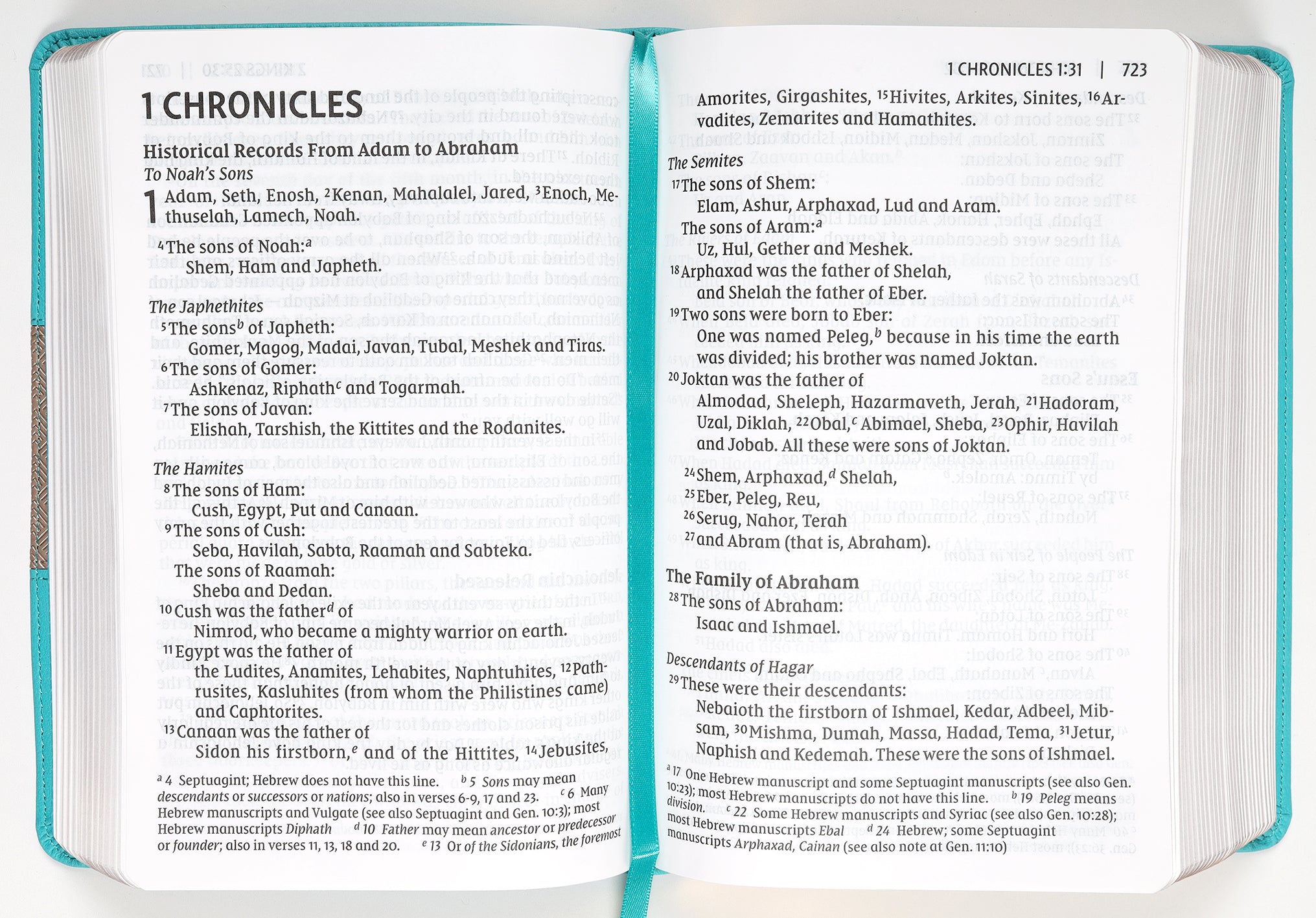 NIV Giant Print Compact Bible Teal (Red Letter Edition)