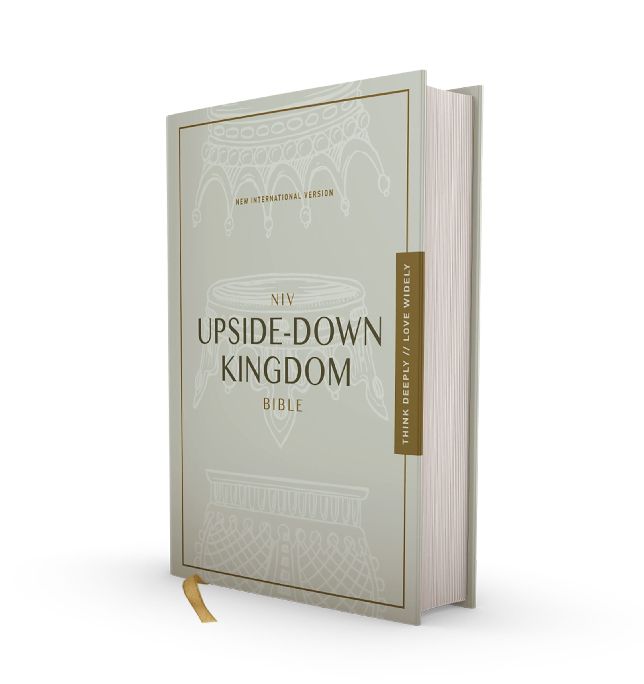 NIV Upside-Down Kingdom Bible, Gray