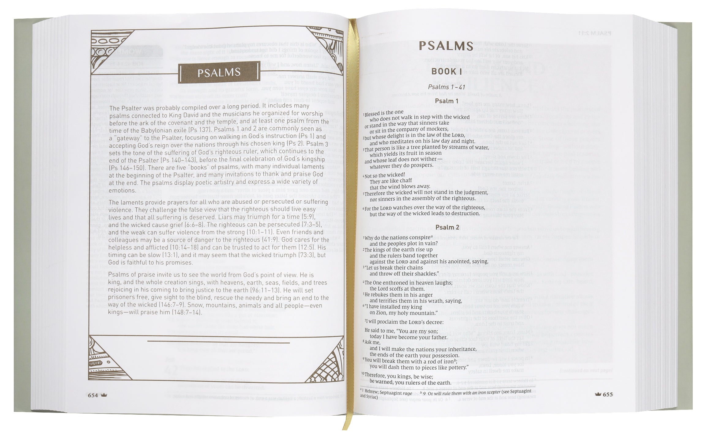 NIV Upside-Down Kingdom Bible, Gray