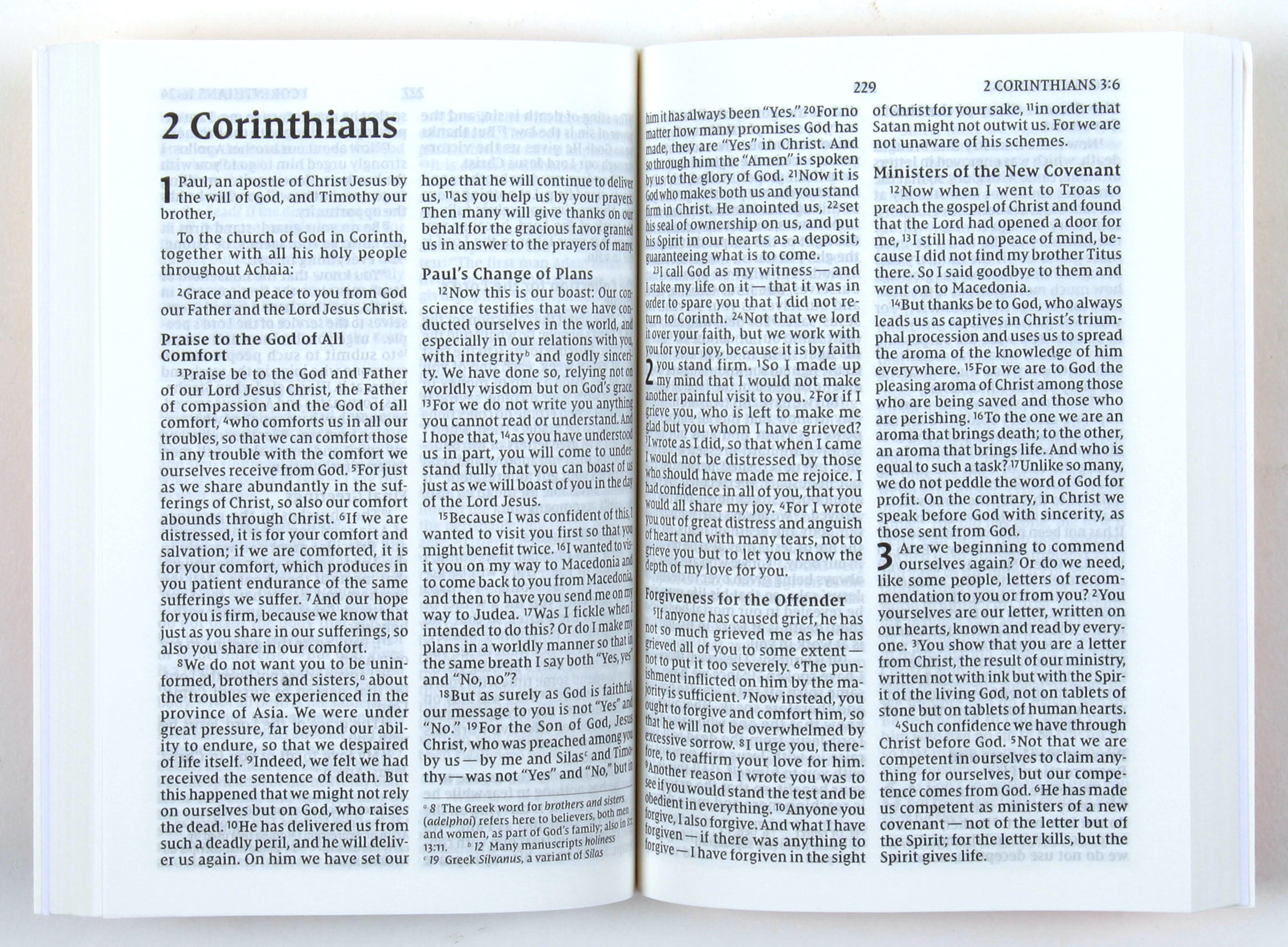 NIV God's Gift For Kids Pocket New Testament With Psalms and Proverbs Comfort Print Edition