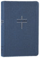 NIV Bible For Teens Thinline Edition Blue (Red Letter Edition)