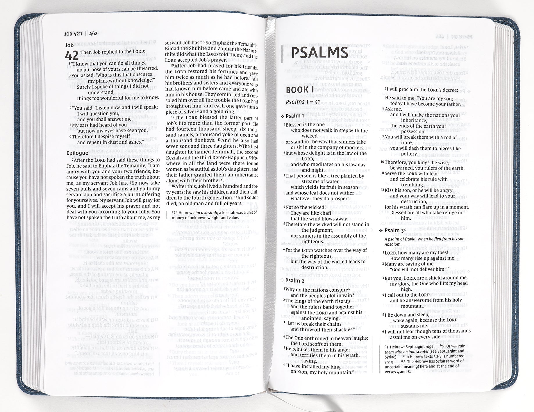 NIV Bible For Teens Thinline Edition Blue (Red Letter Edition)