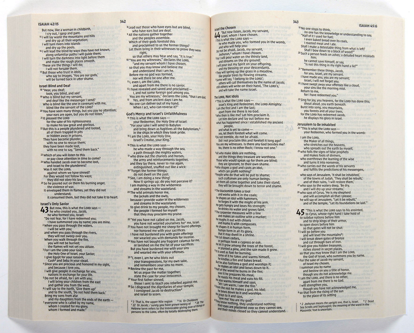 NIV Holy Bible Economy Comfort Print Edition