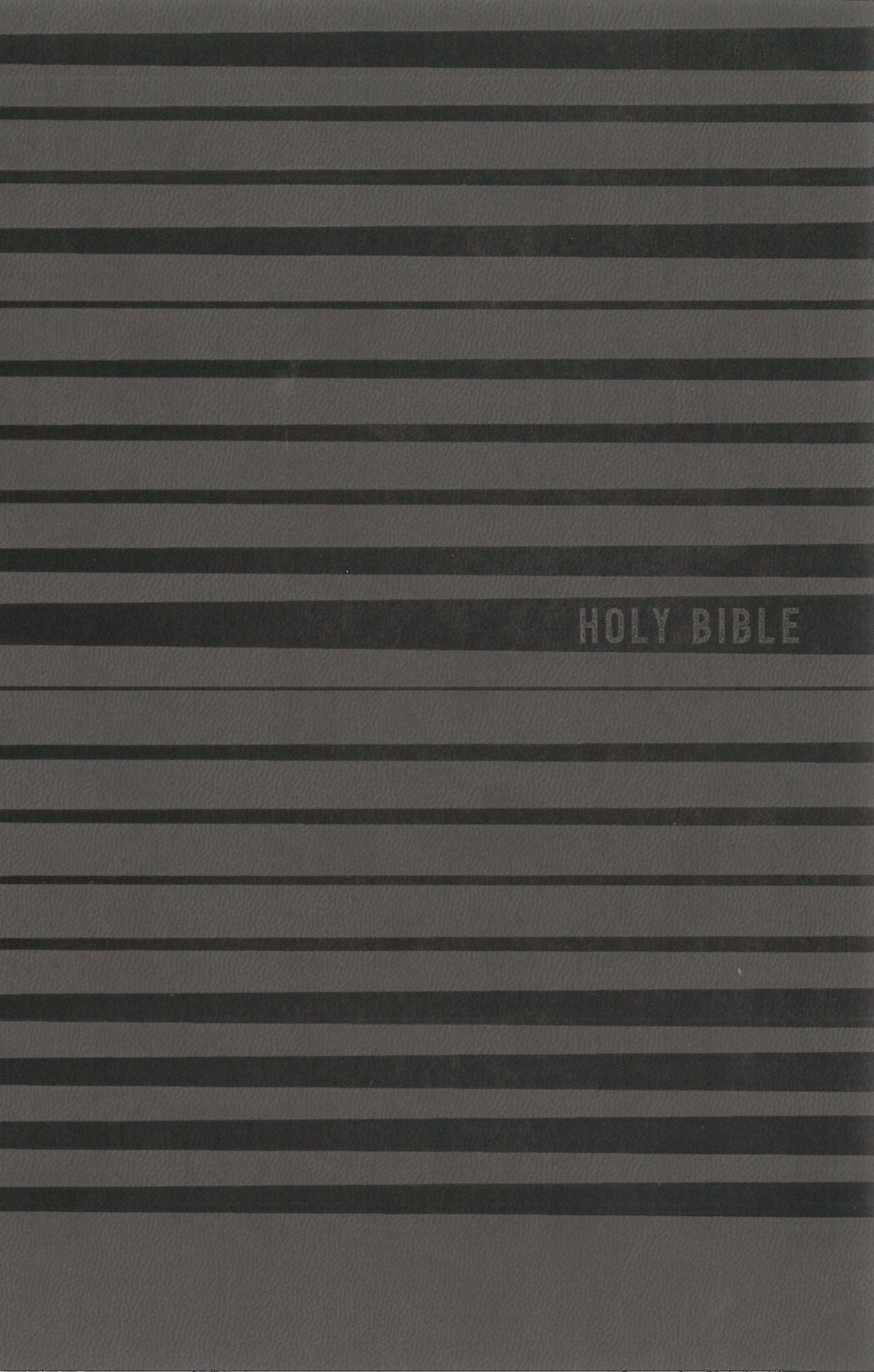 NIV Holy Bible For Boys Gray