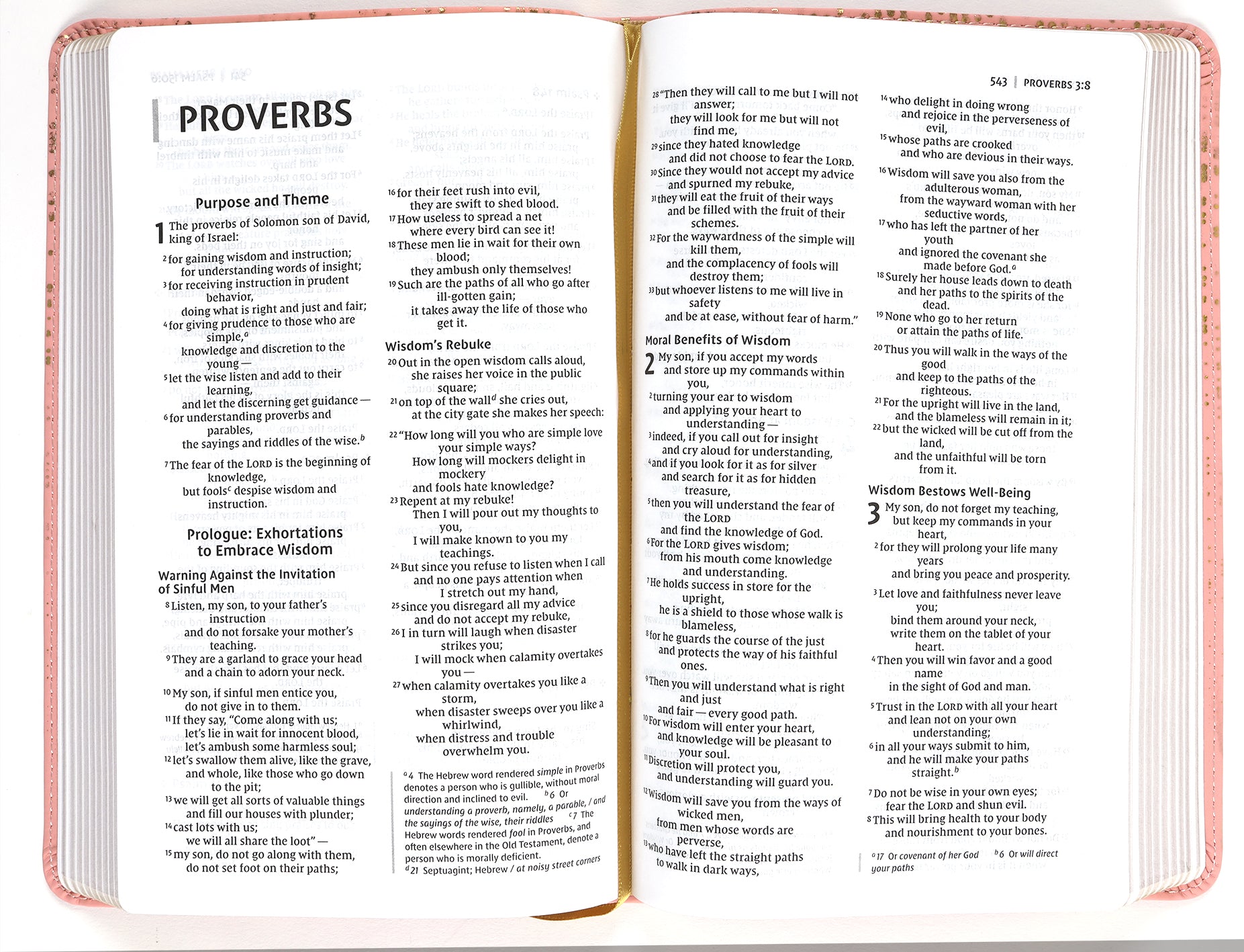 NIV Bible For Teens Thinline Edition Pink (Red Letter Edition)