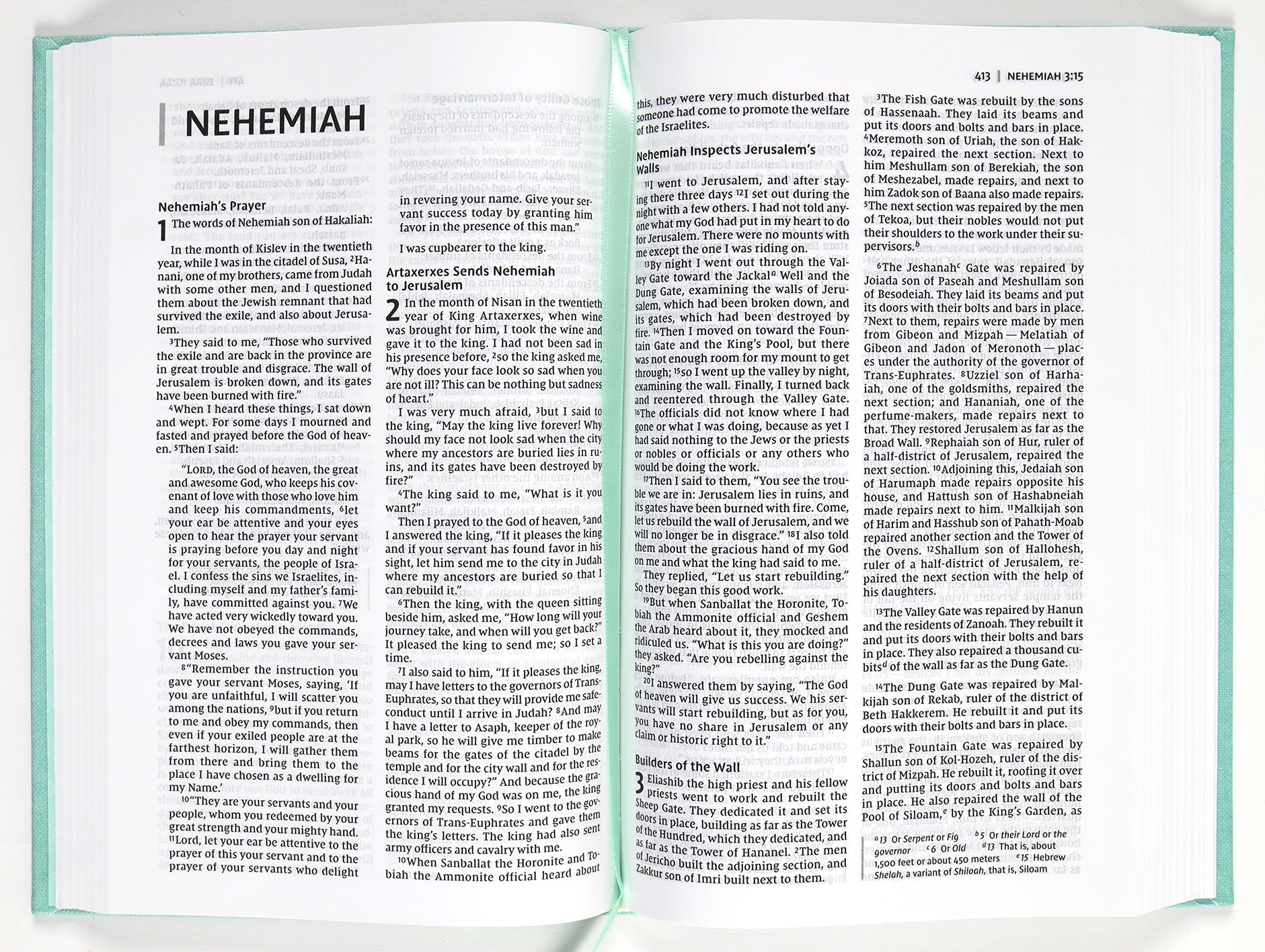 NIV Bible For Teens Thinline Edition Floral (Red Letter Edition)