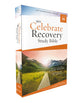 NIV Celebrate Recovery Study Bible Comfort Print Edition (Celebrate Recovery Series)