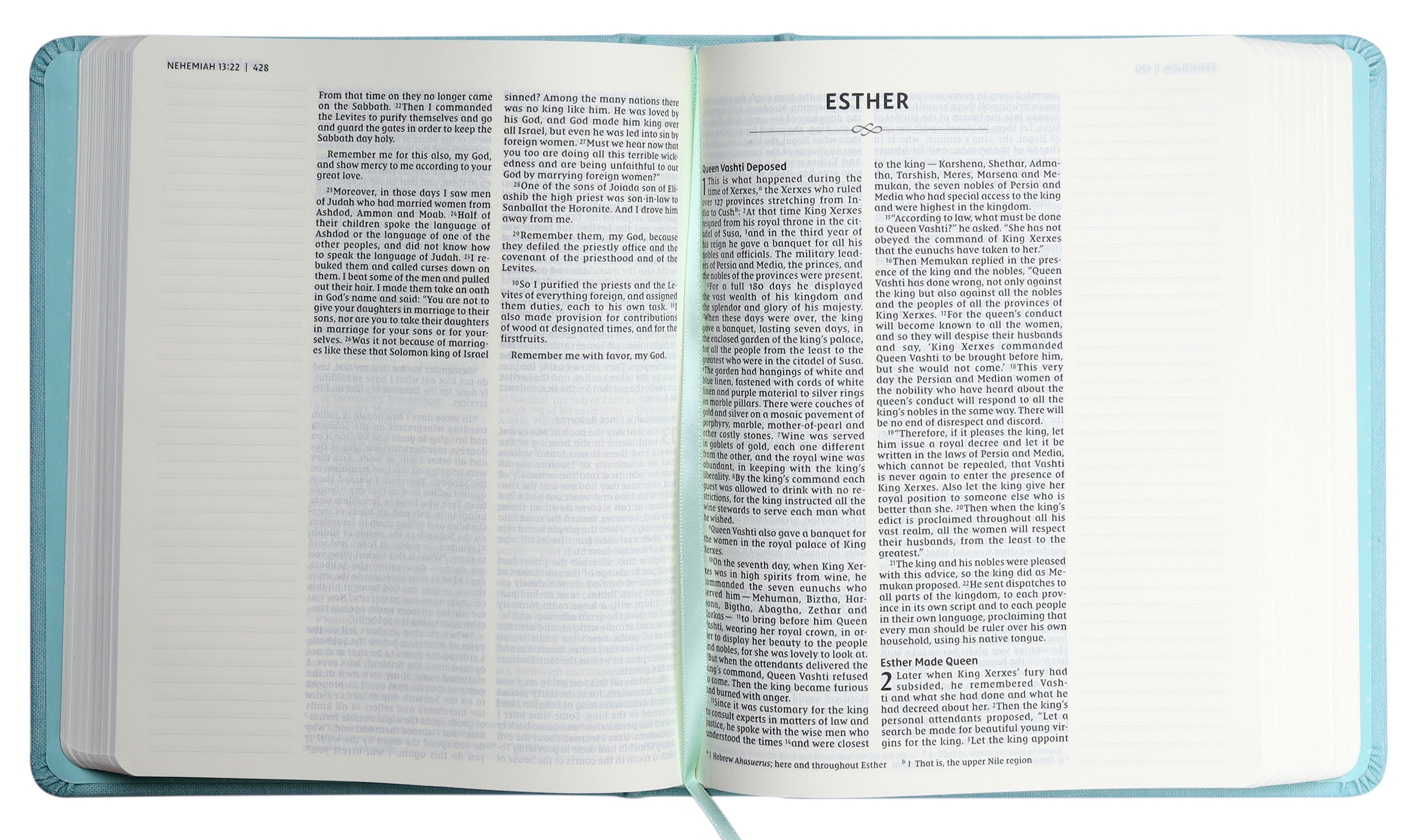 NIV Journal the Word Bible Teal Double Column (Red Letter Edition)