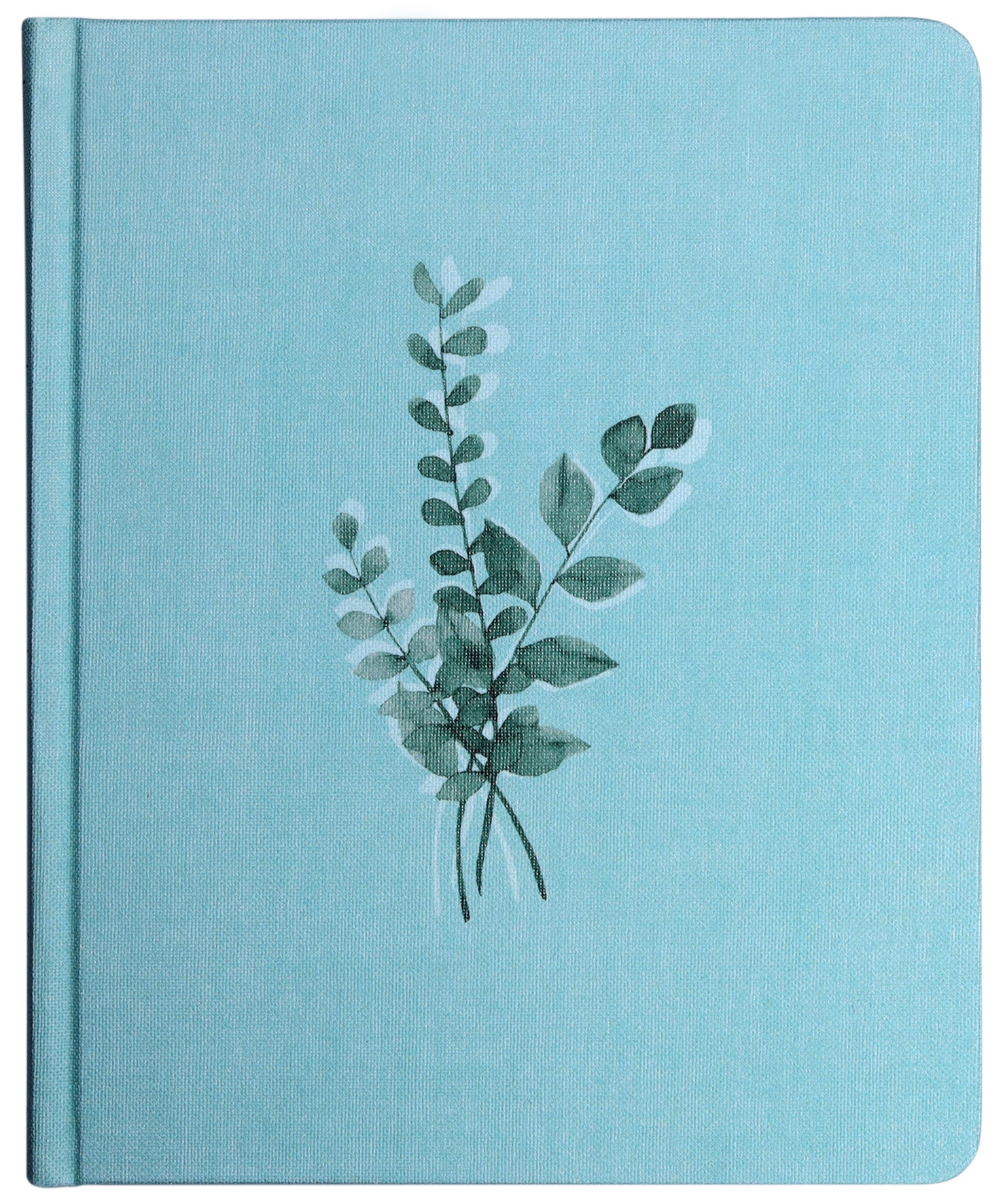 NIV Journal the Word Bible Teal Double Column (Red Letter Edition)