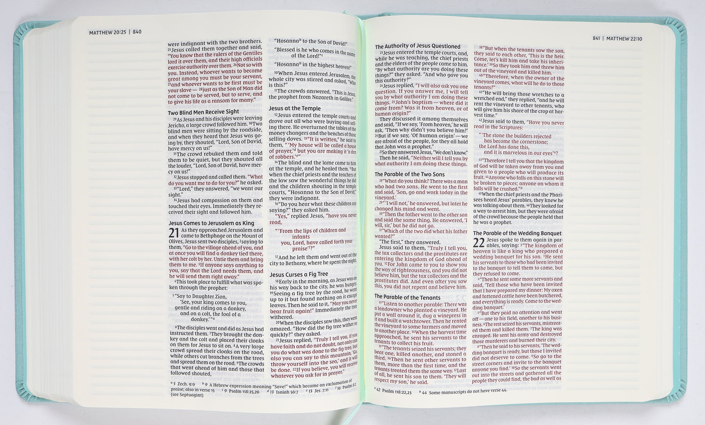 NIV Journal the Word Bible Teal Double Column (Red Letter Edition)