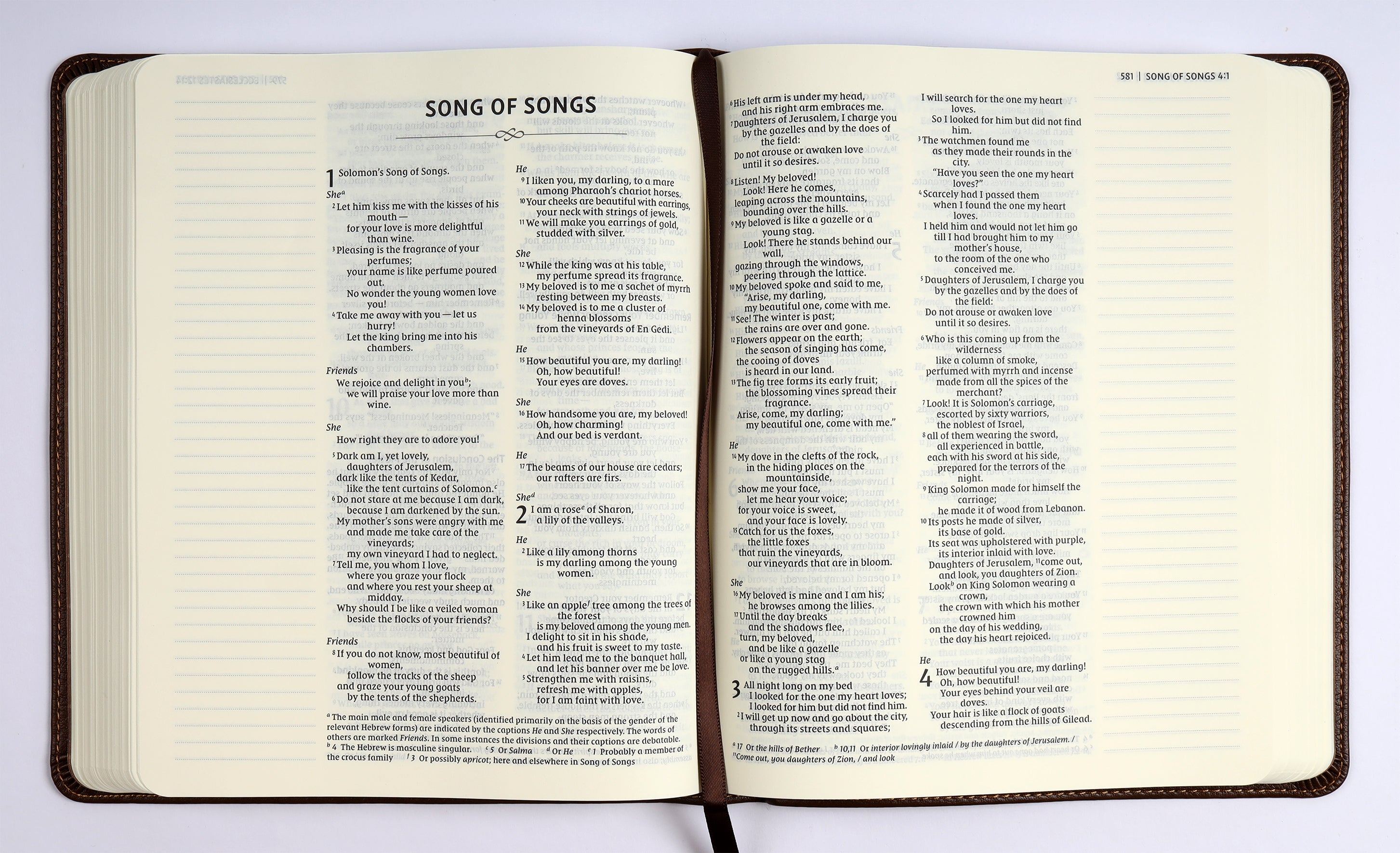 NIV Journal the Word Bible Brown Double Column (Red Letter Edition)