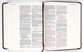 NIV Journal the Word Bible Brown Double Column (Red Letter Edition)