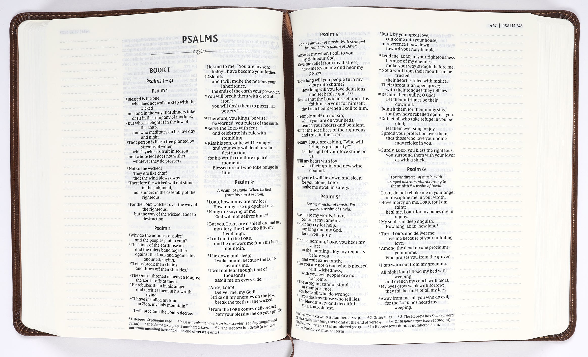 NIV Journal the Word Bible Brown Double Column (Red Letter Edition)