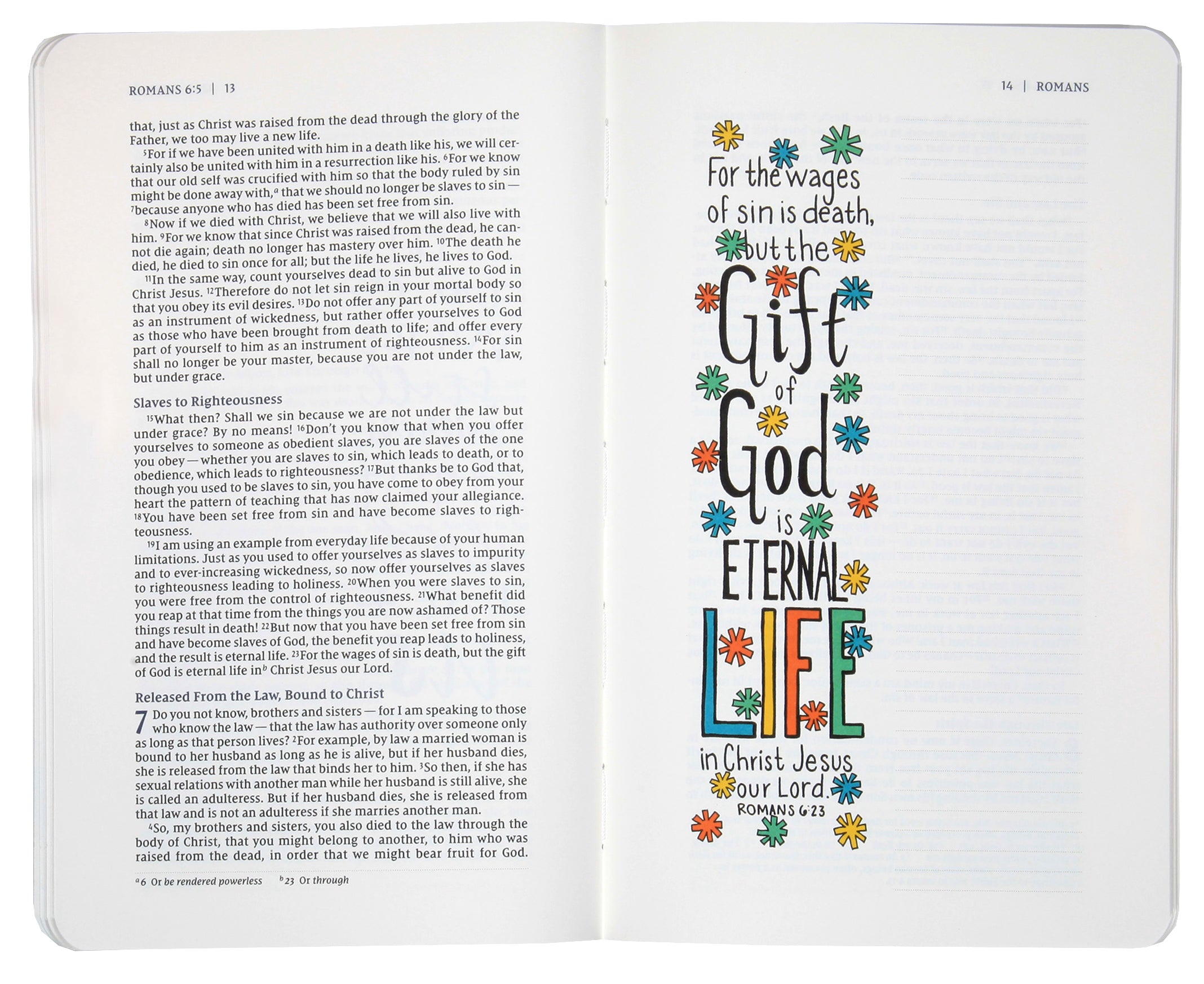 NIV Beautiful Word Bible Journal Romans