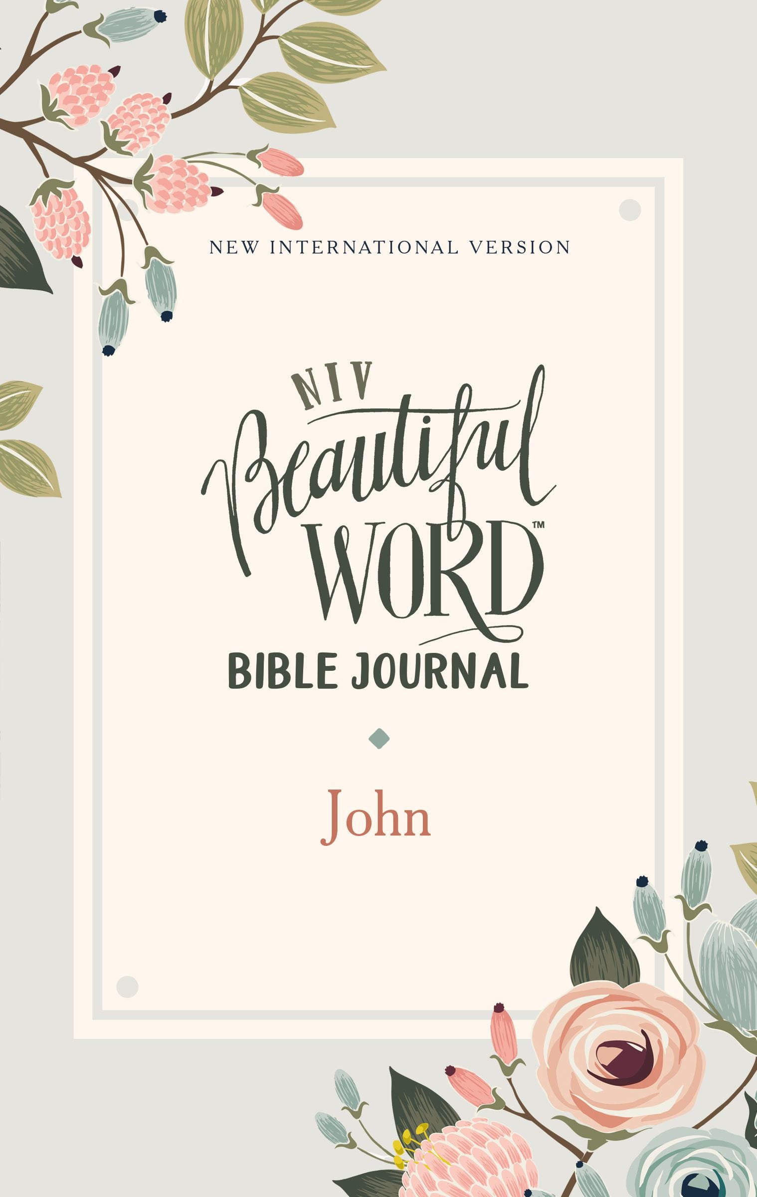 NIV Beautiful Word Bible Journal John
