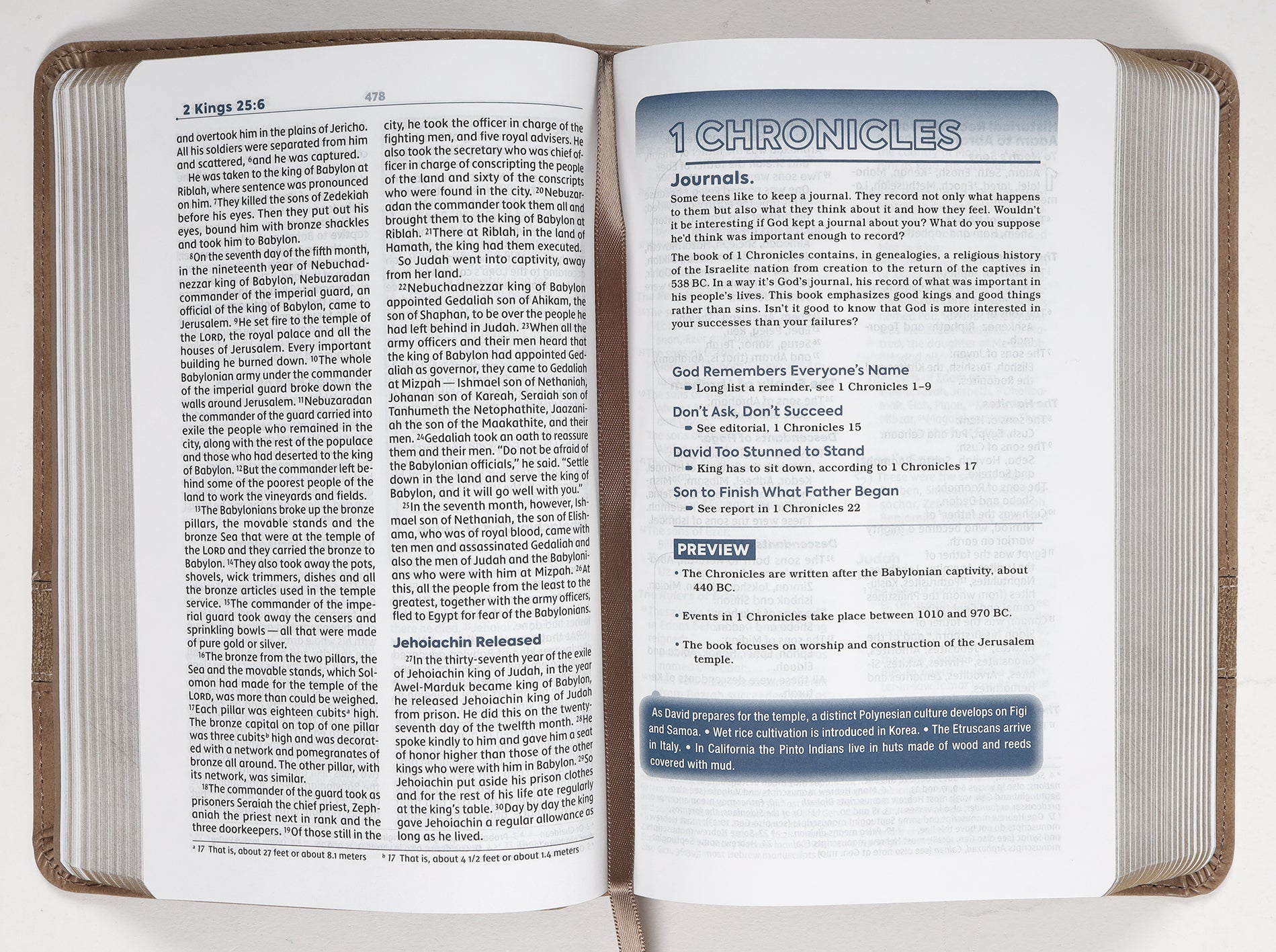NIV Teen Study Bible Compact Brown Comfort Print