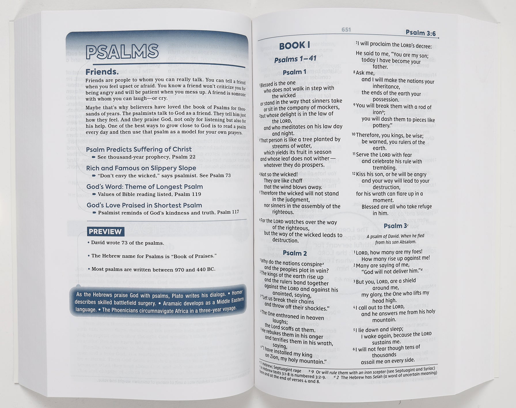 NIV Teen Study Bible Comfort Print