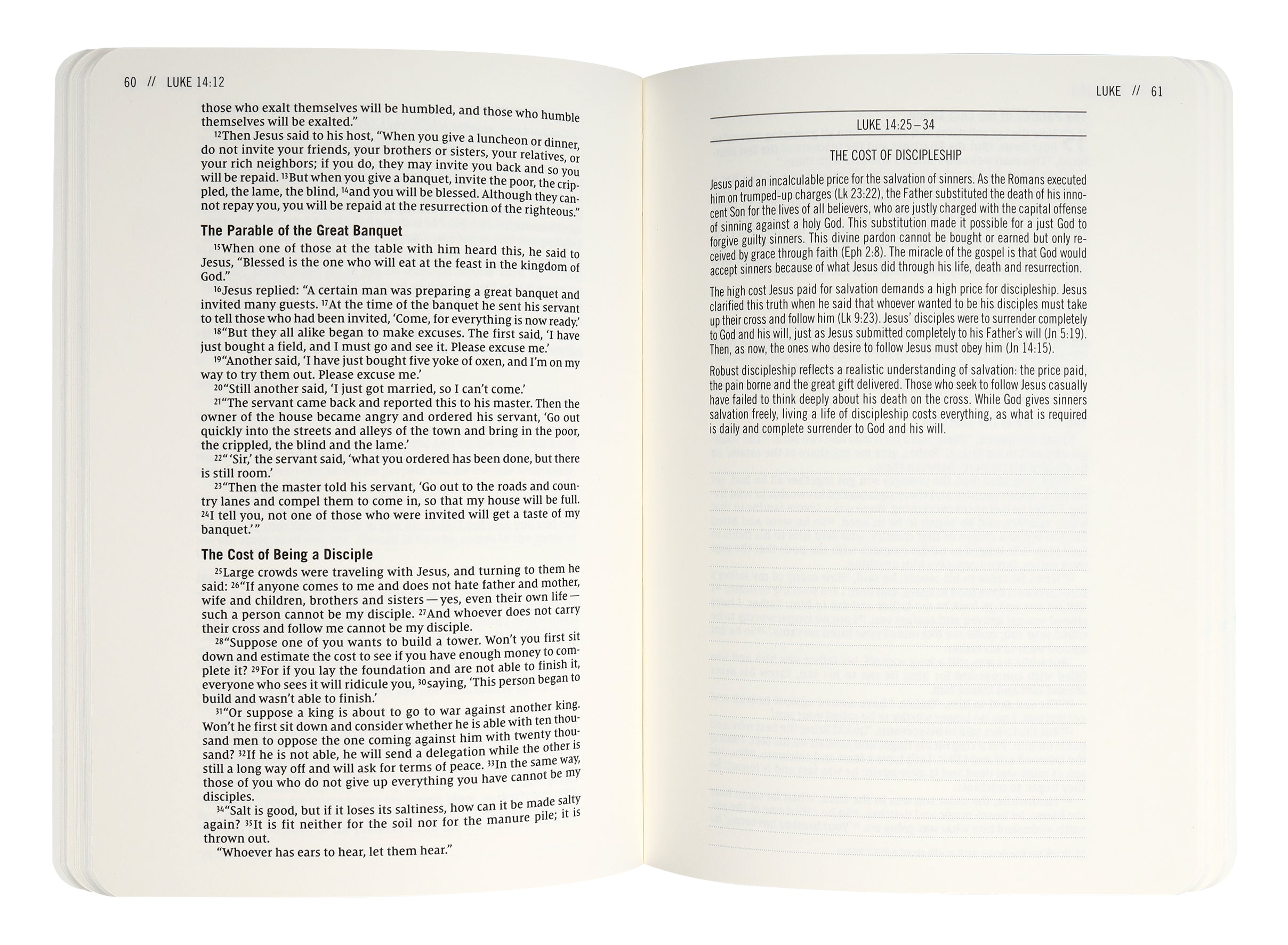 NIV Jesus Bible Journal Luke