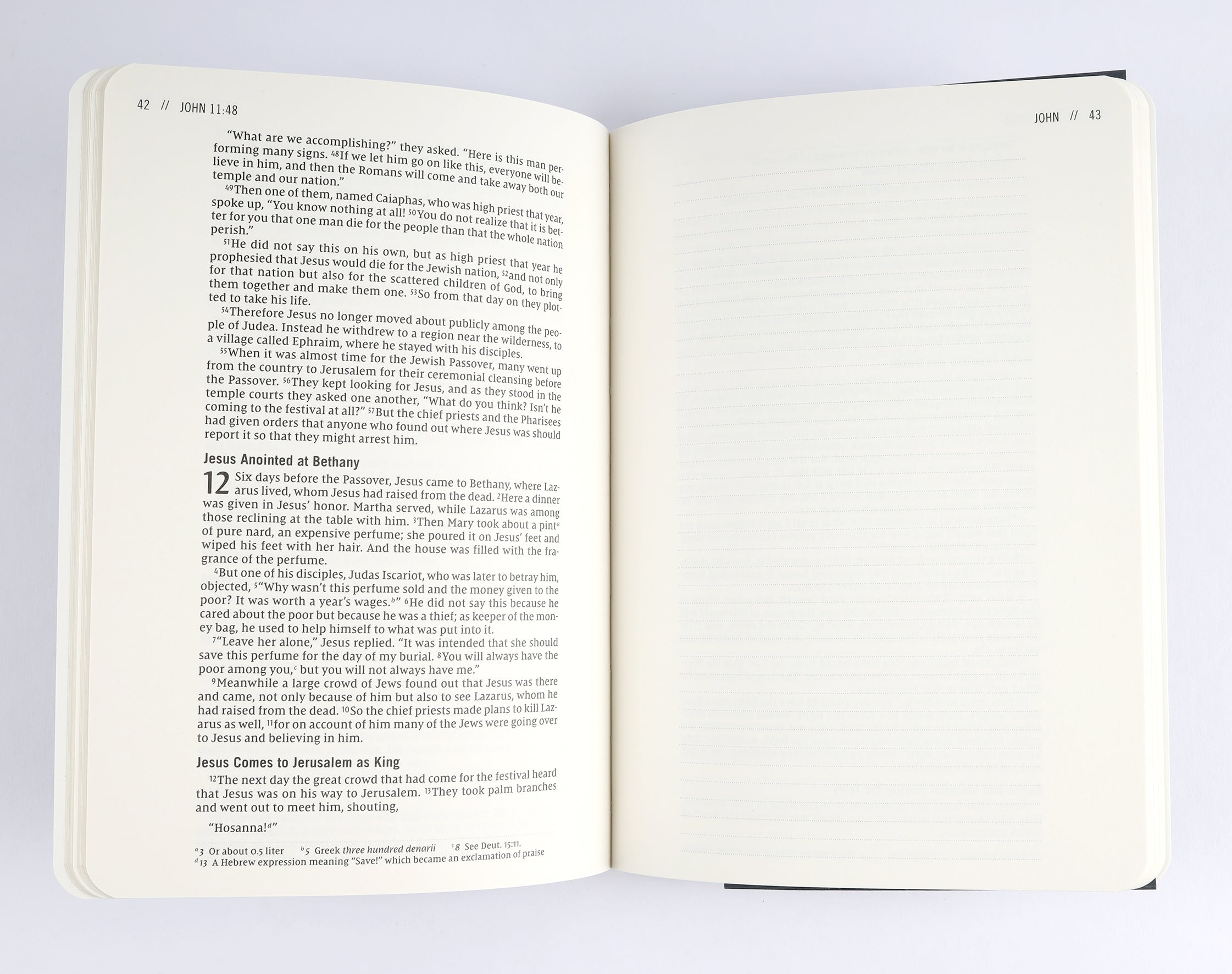NIV Jesus Bible Journal John