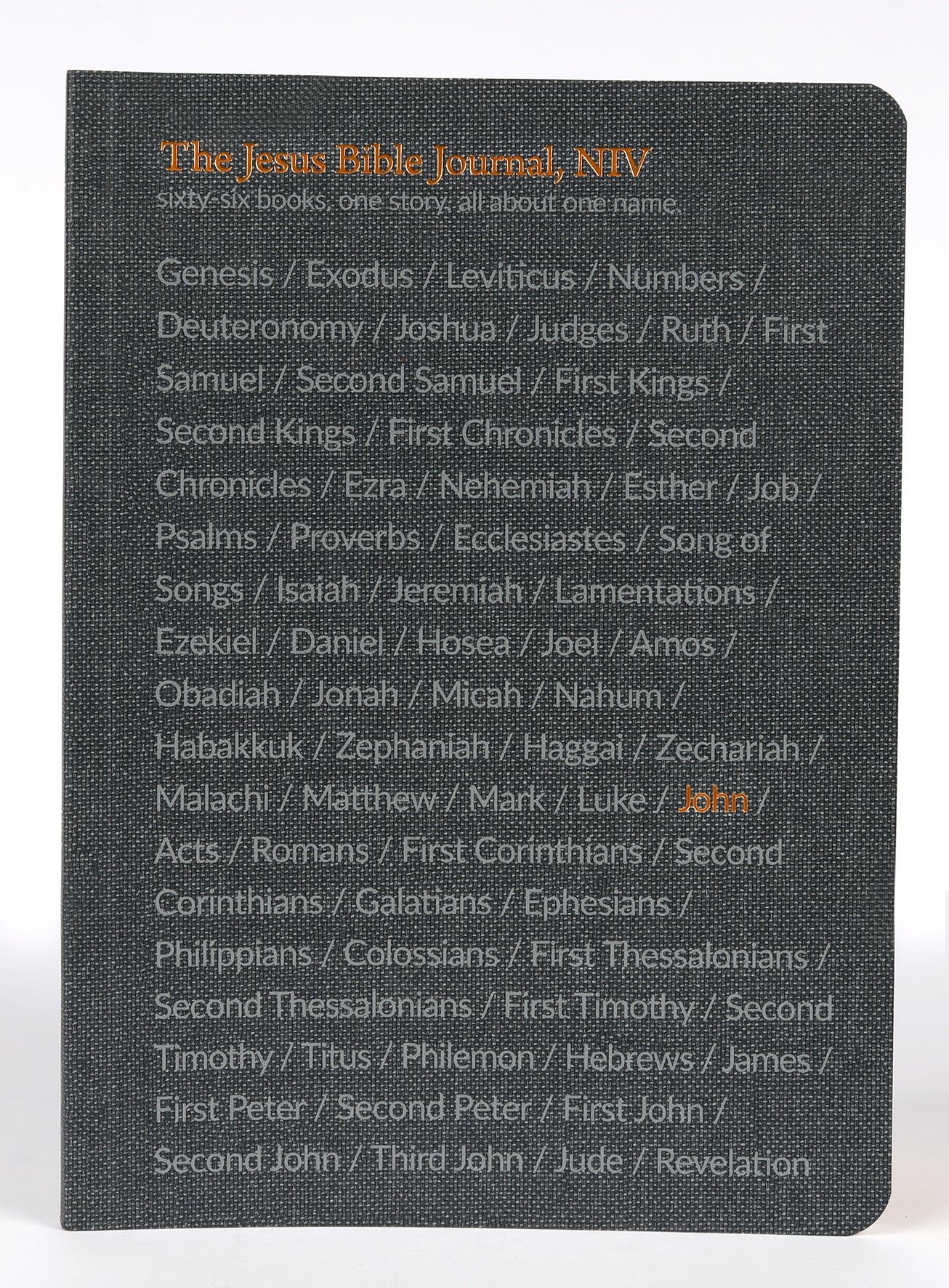 NIV Jesus Bible Journal John