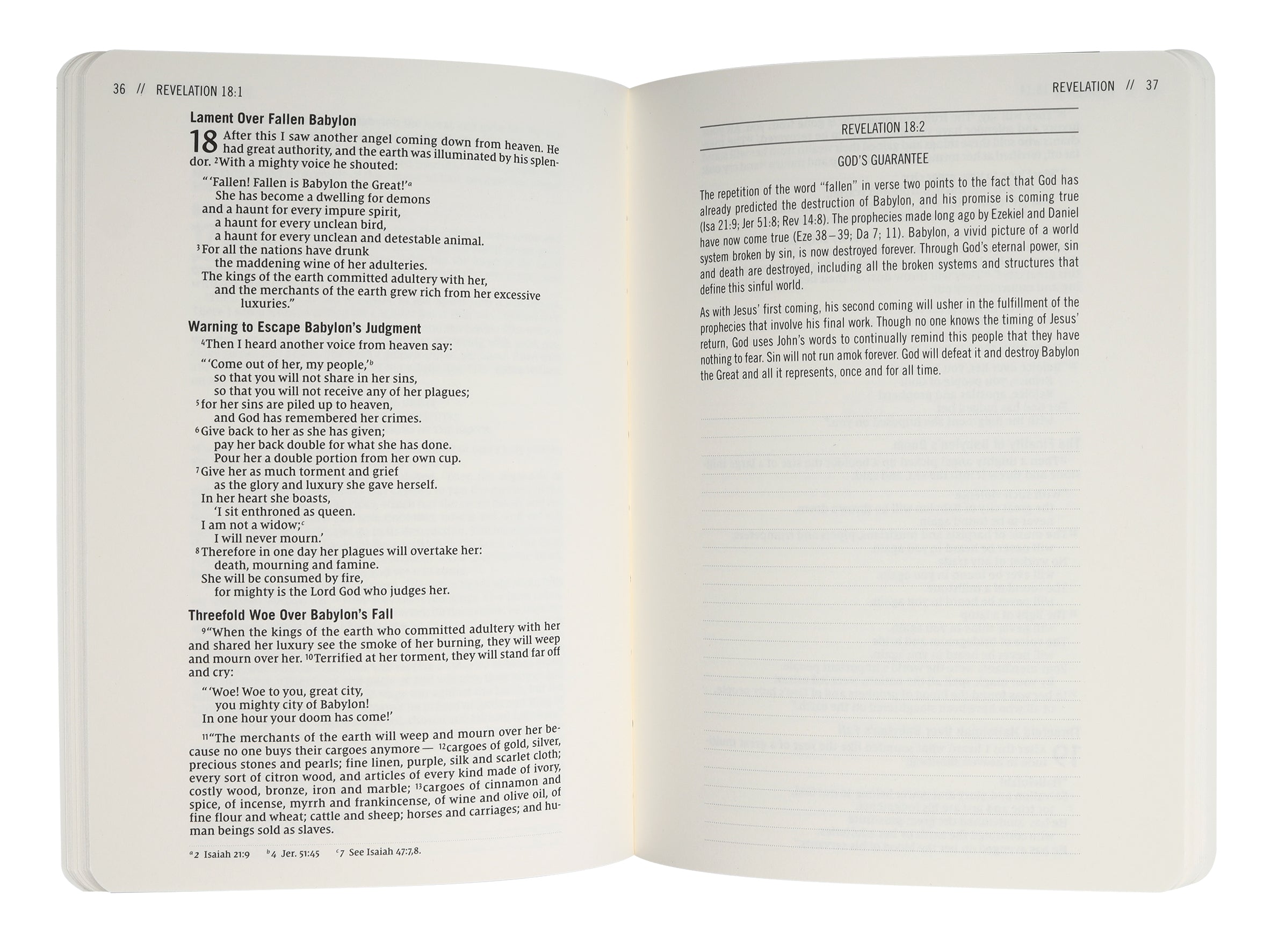 NIV Jesus Bible Journal Revelation