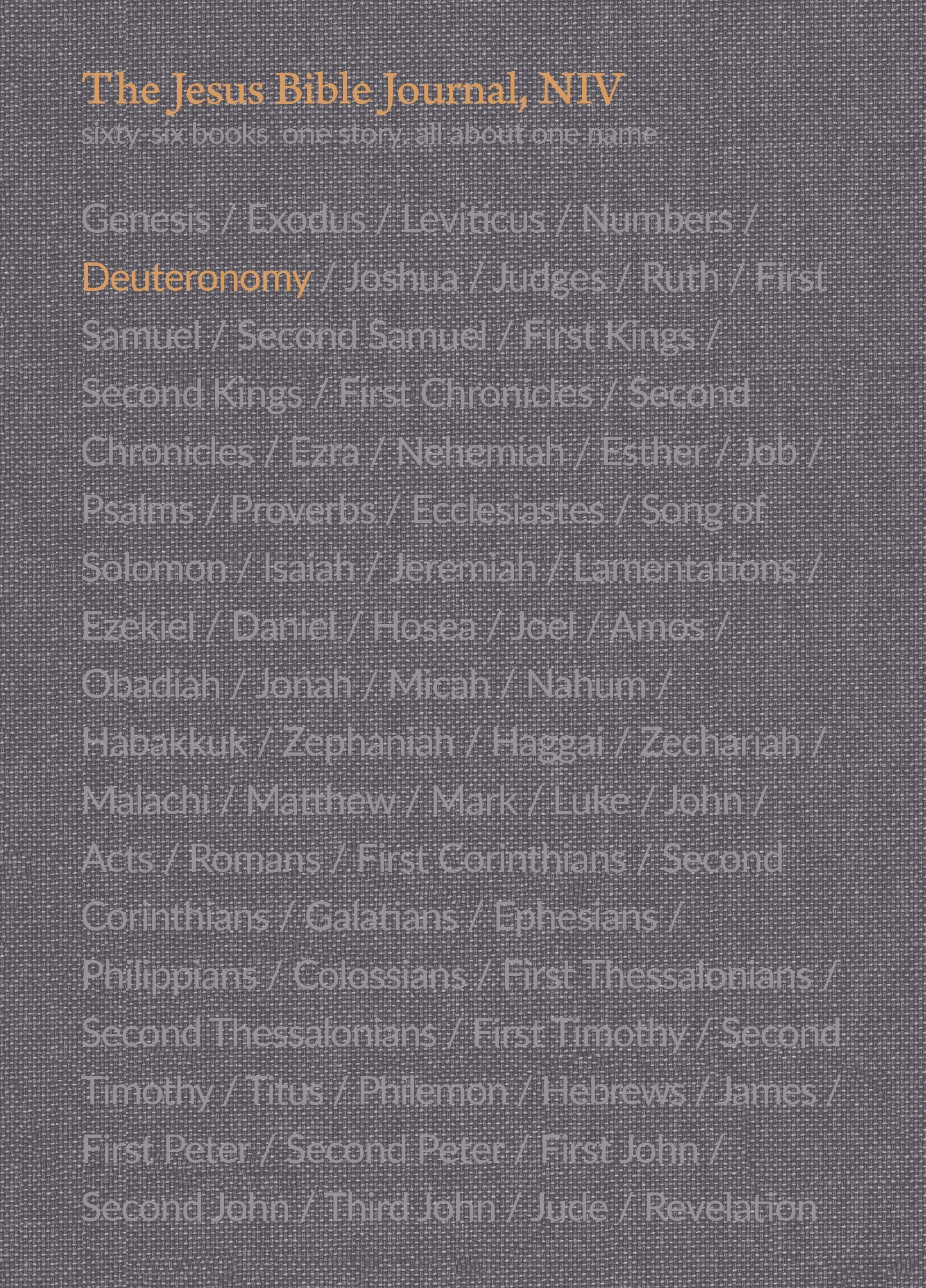 NIV Jesus Bible Journal Deuteronomy