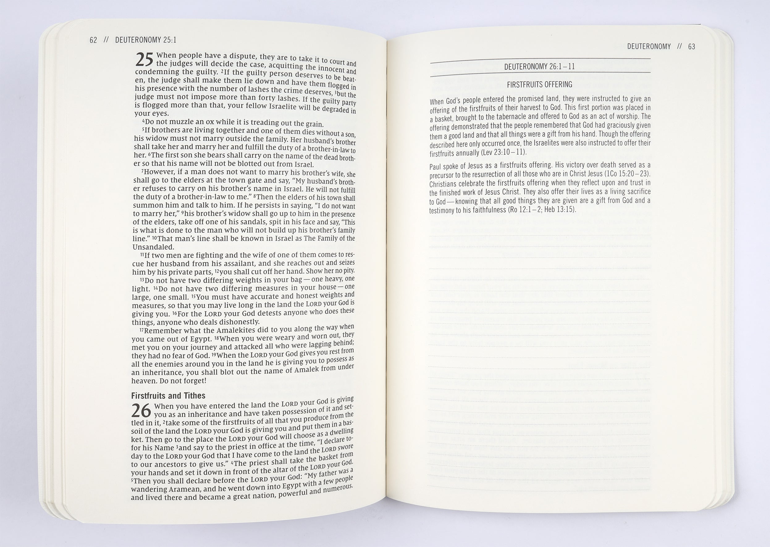 NIV Jesus Bible Journal Deuteronomy