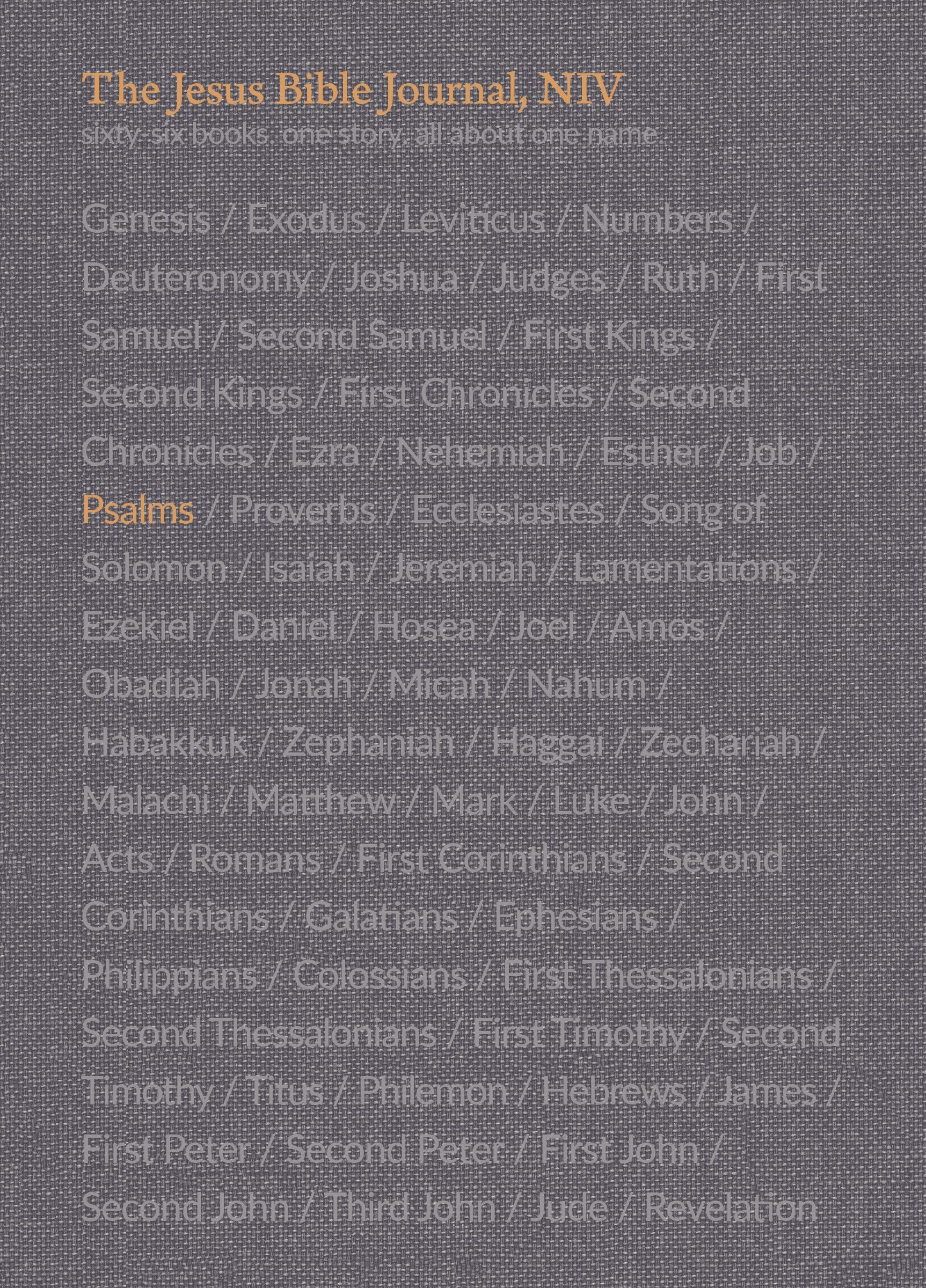 NIV Jesus Bible Journal Psalms