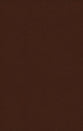 NASB Thinline Bible Brown 1995 Text (Red Letter Edition)