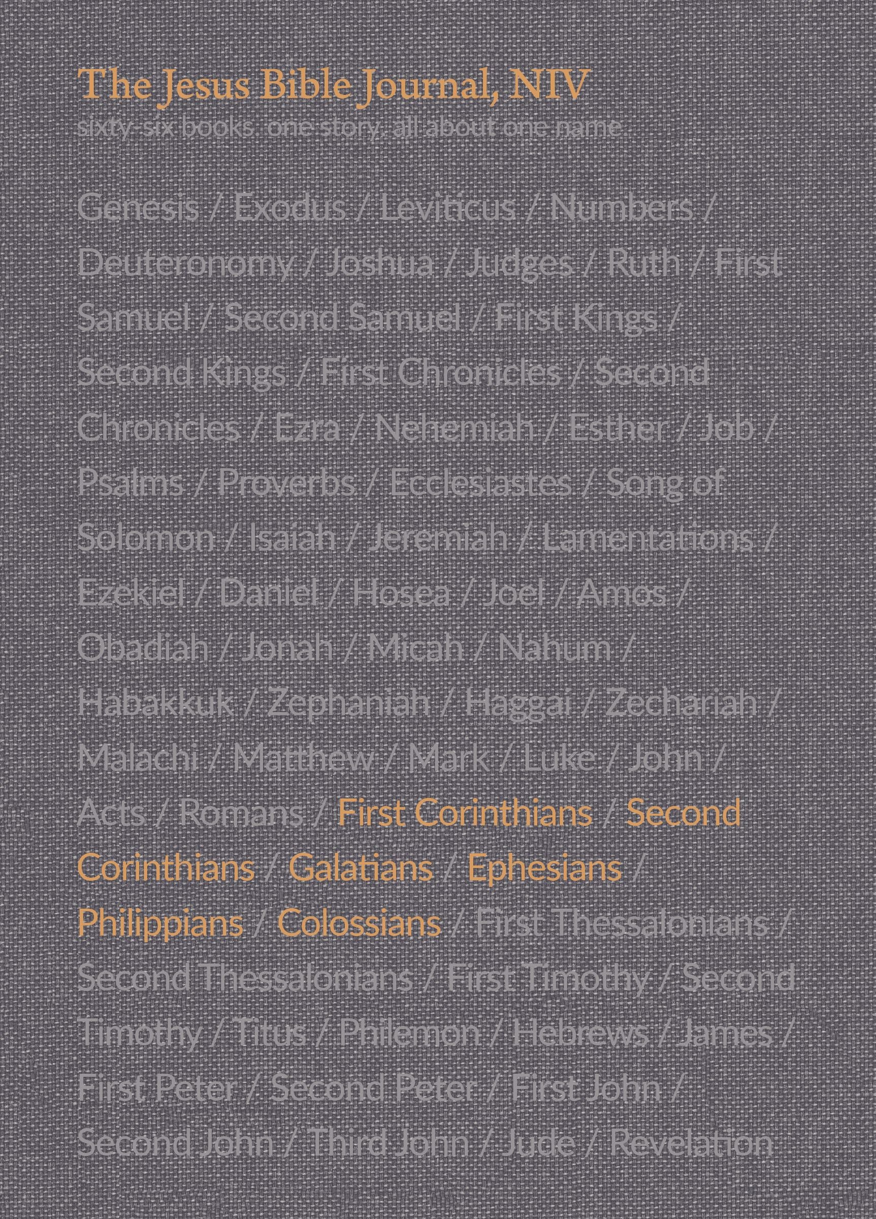 NIV Jesus Bible Journal 1 Corithians-Colossians