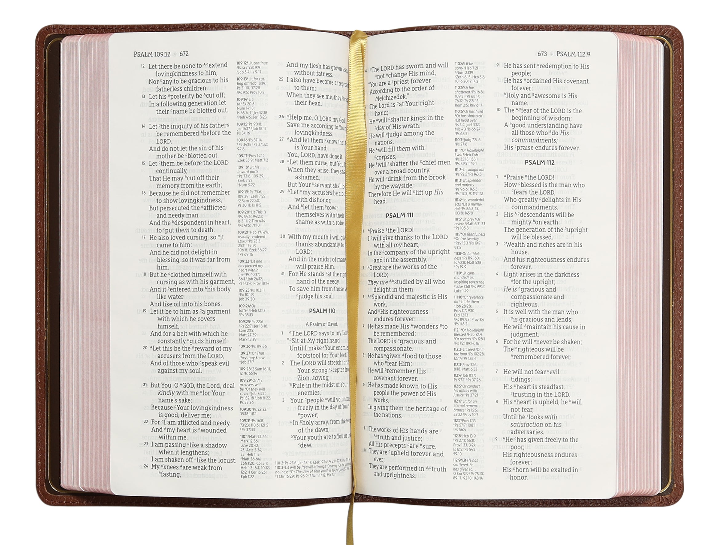 NASB Classic Reference Bible Brown 1995 Text (Red Letter Edition)