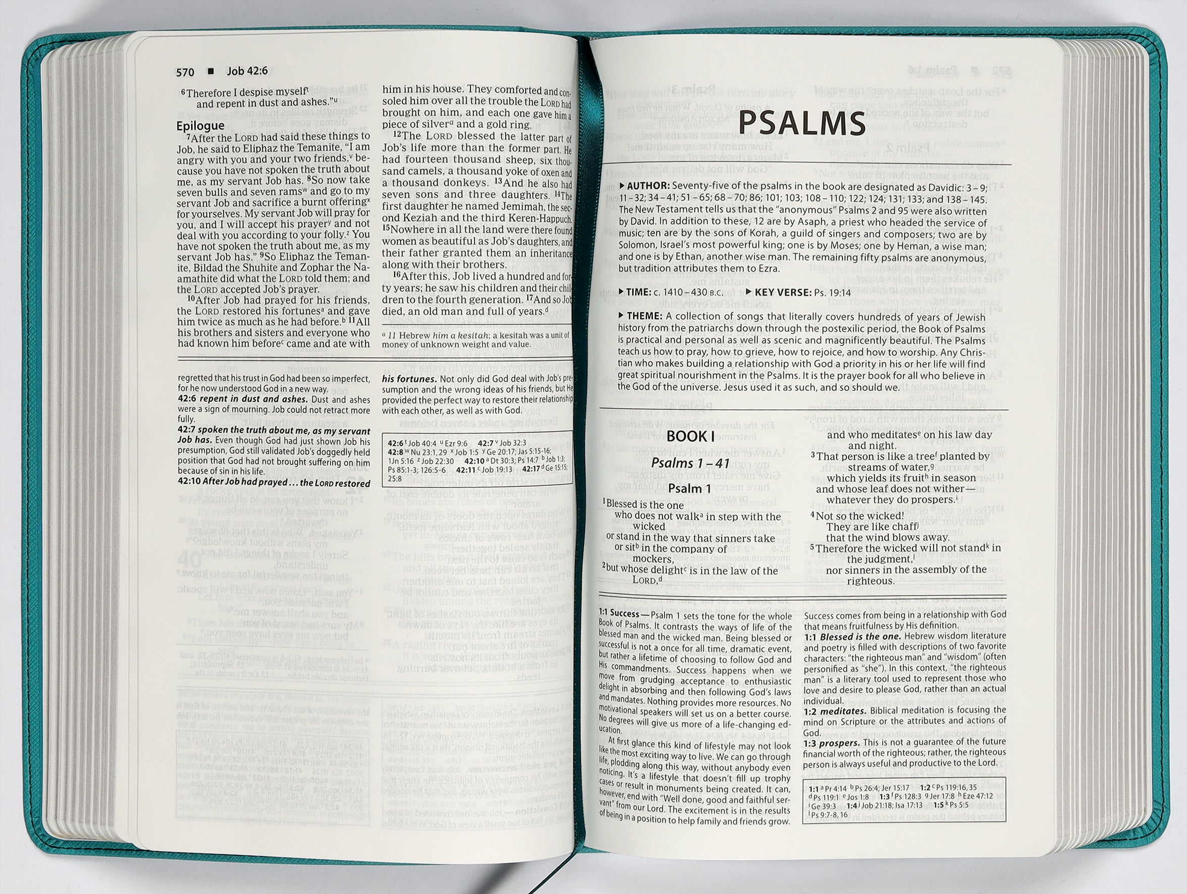 NIV Foundation Study Bible Teal (Red Letter Edition)