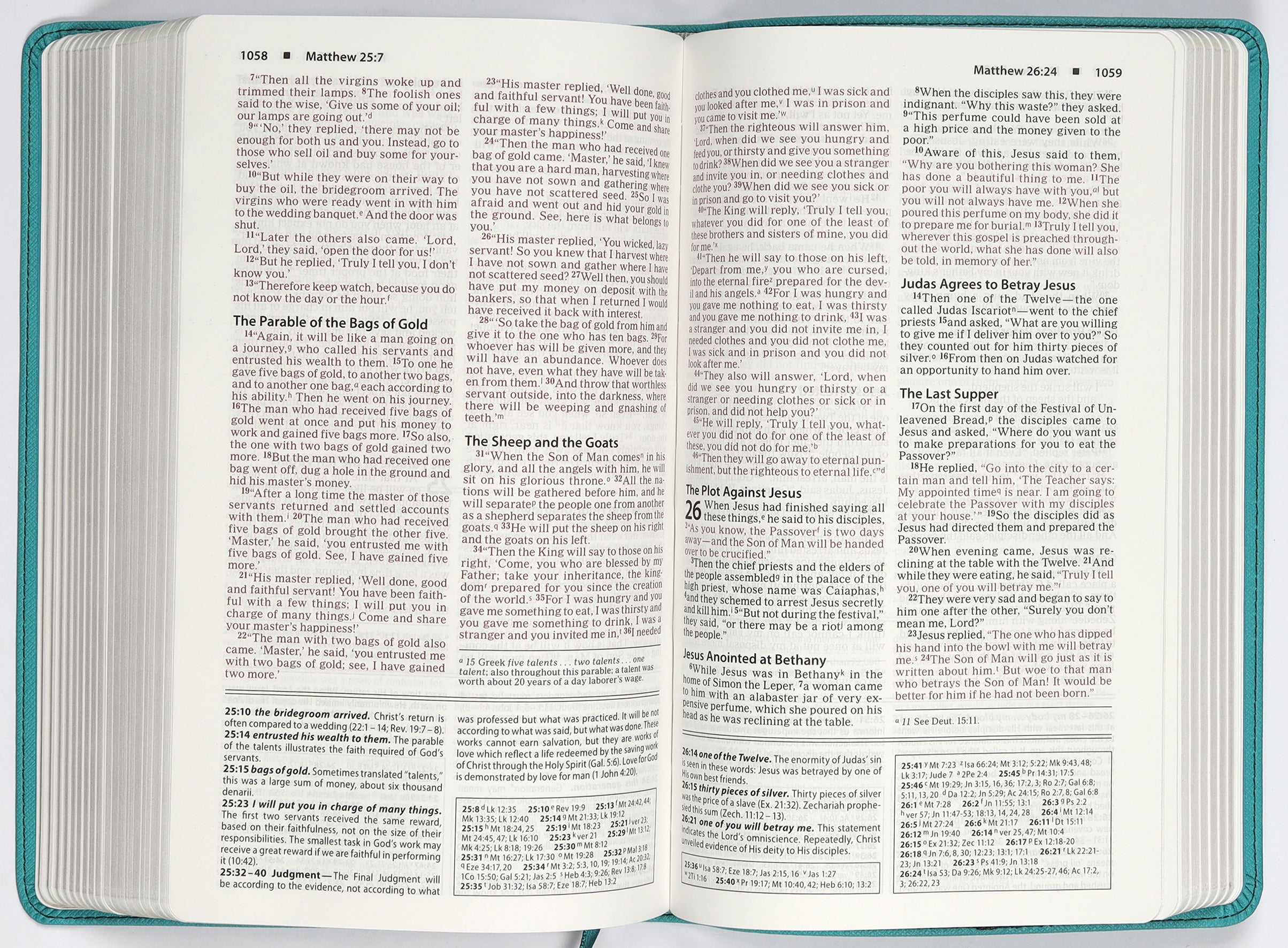 NIV Foundation Study Bible Teal (Red Letter Edition)