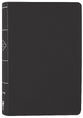 NIV Thinline Bible Passaggio Setting Black (Red Letter Edition)