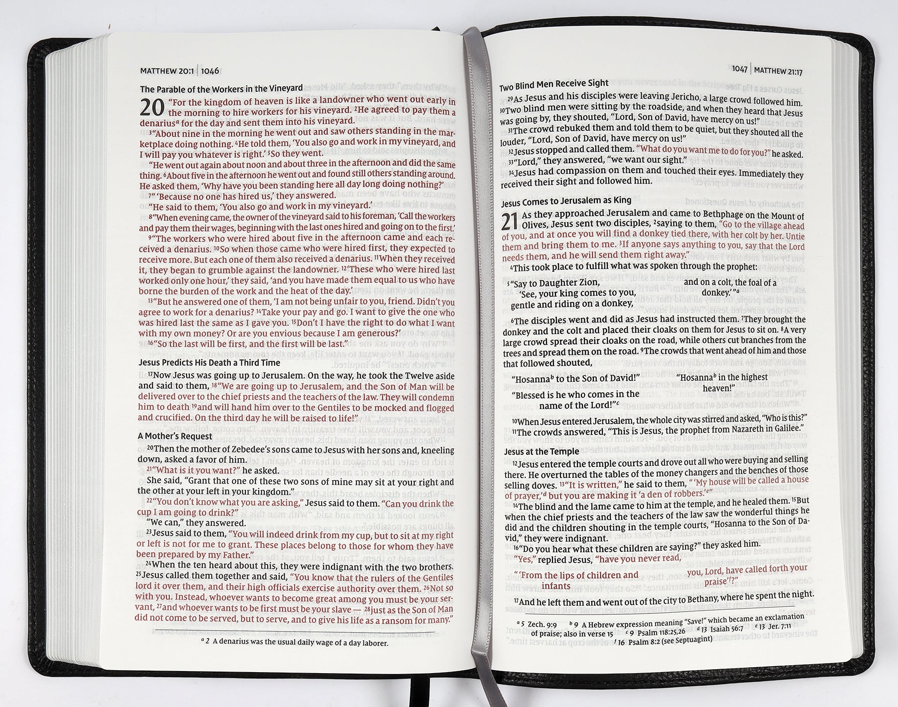 NIV Thinline Bible Passaggio Setting Black (Red Letter Edition)