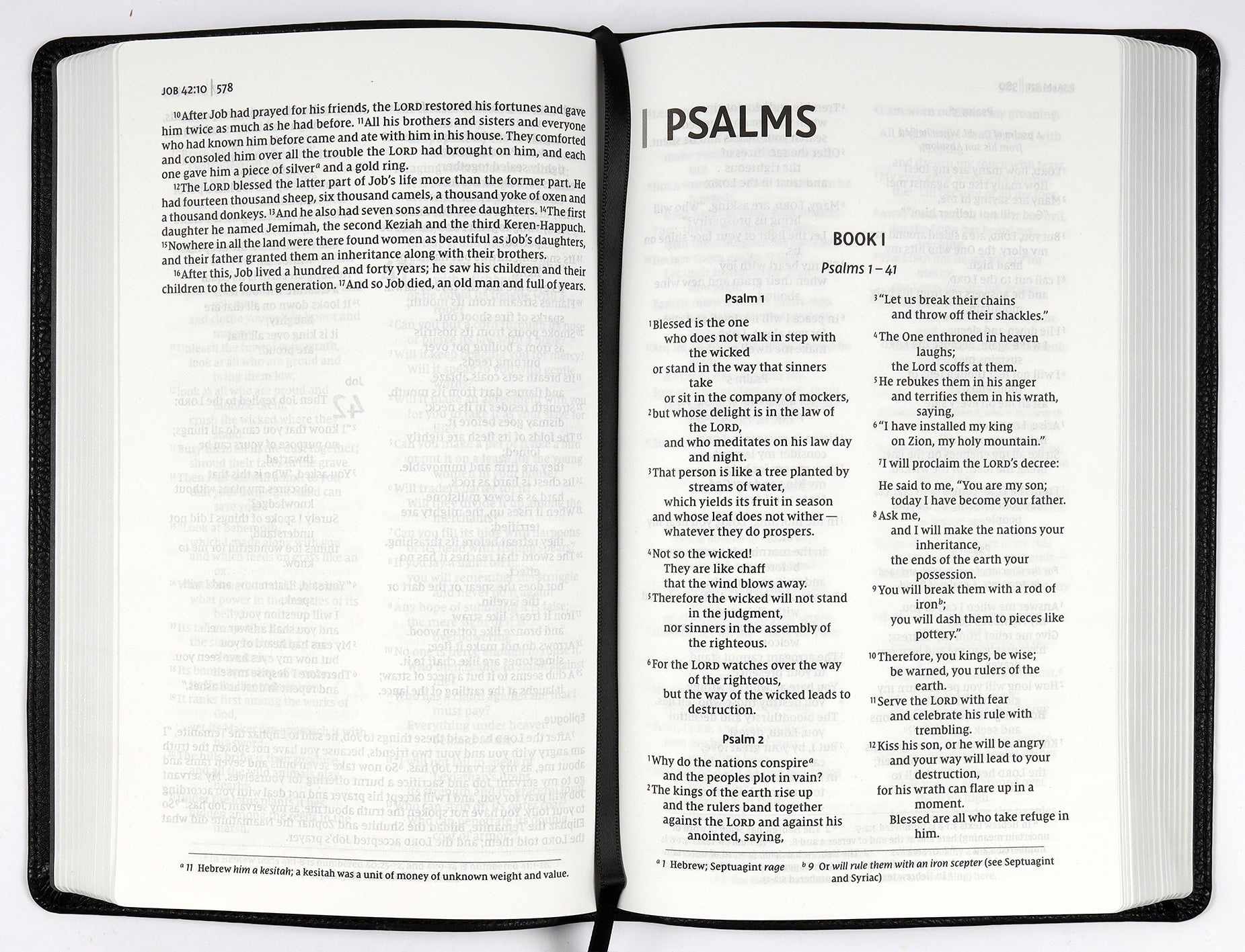 NIV Thinline Bible Passaggio Setting Black (Red Letter Edition)
