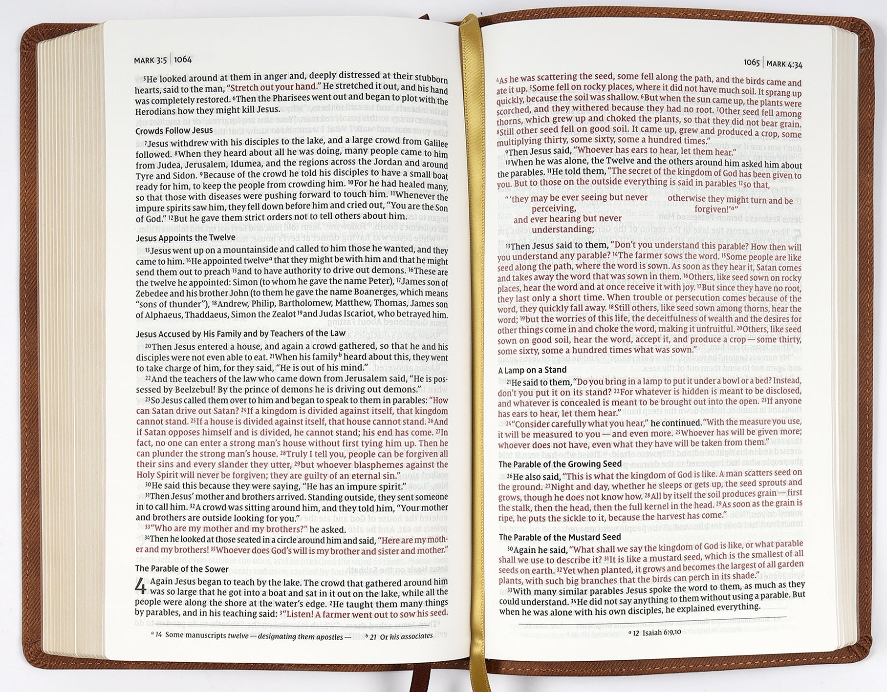 NIV Thinline Bible Passaggio Setting Brown (Red Letter Edition)