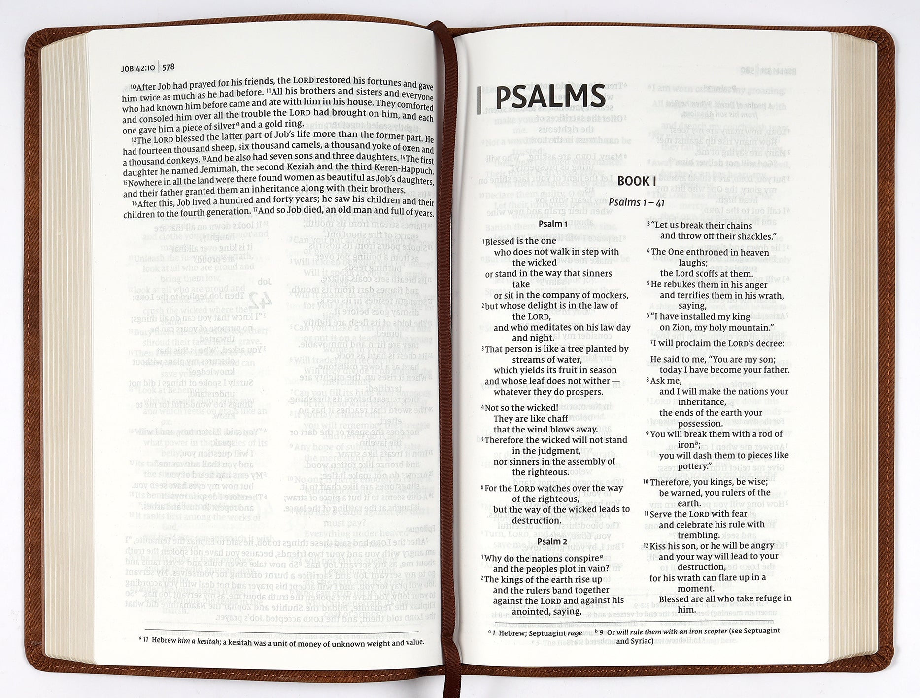 NIV Thinline Bible Passaggio Setting Brown (Red Letter Edition)