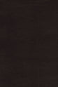 NASB Thinline Bible Large Print Passaggio Setting Black 1995 Text (Red Letter Edition)
