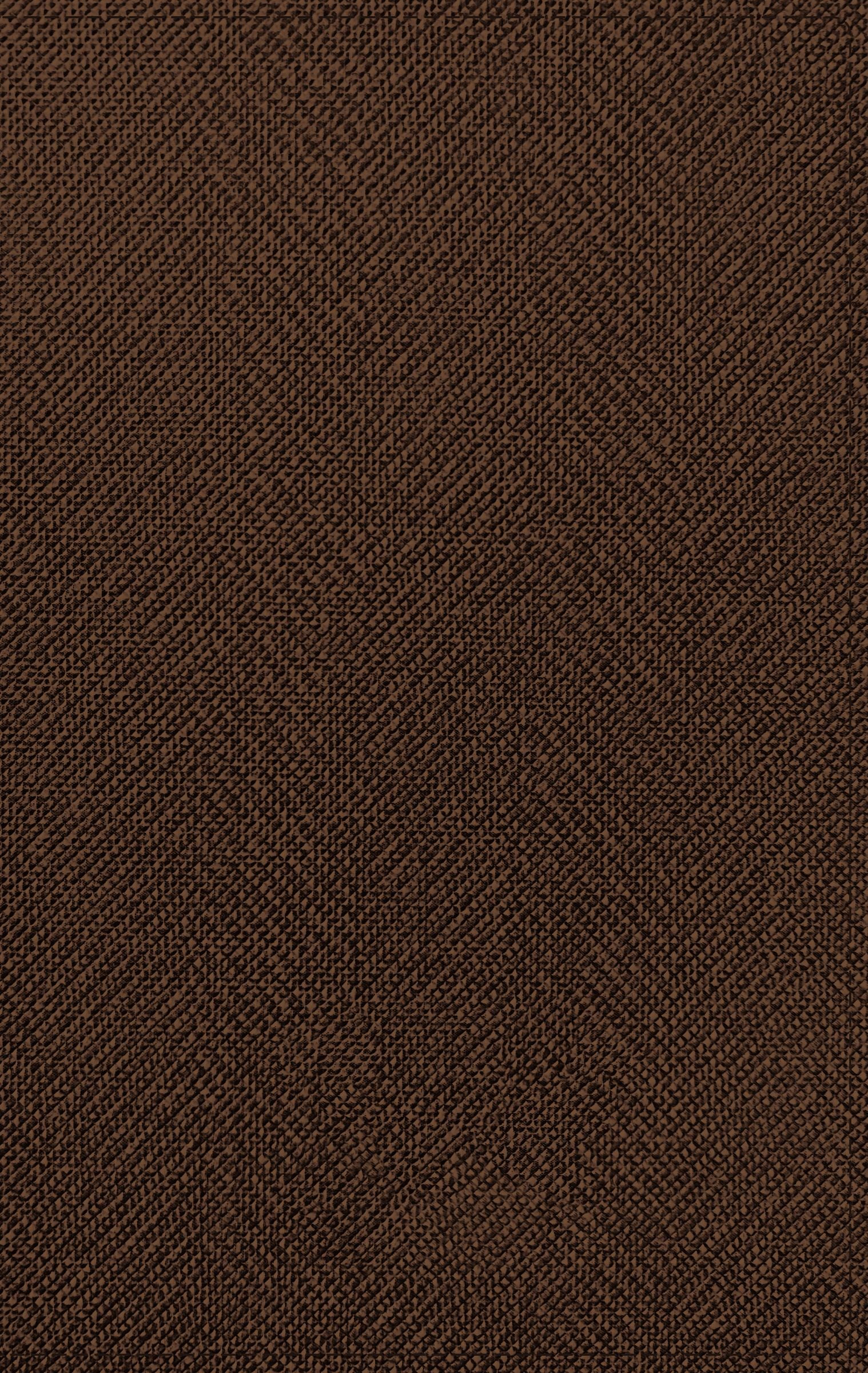 NASB Thinline Bible Large Print Passaggio Setting Brown 1995 Text (Red Letter Edition)