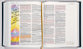NIV Radiant Virtues Bible a Beautiful Word Collection Pink (Red Letter Edition)
