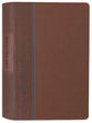 NIV Quest Study Bible for Teens, Brown