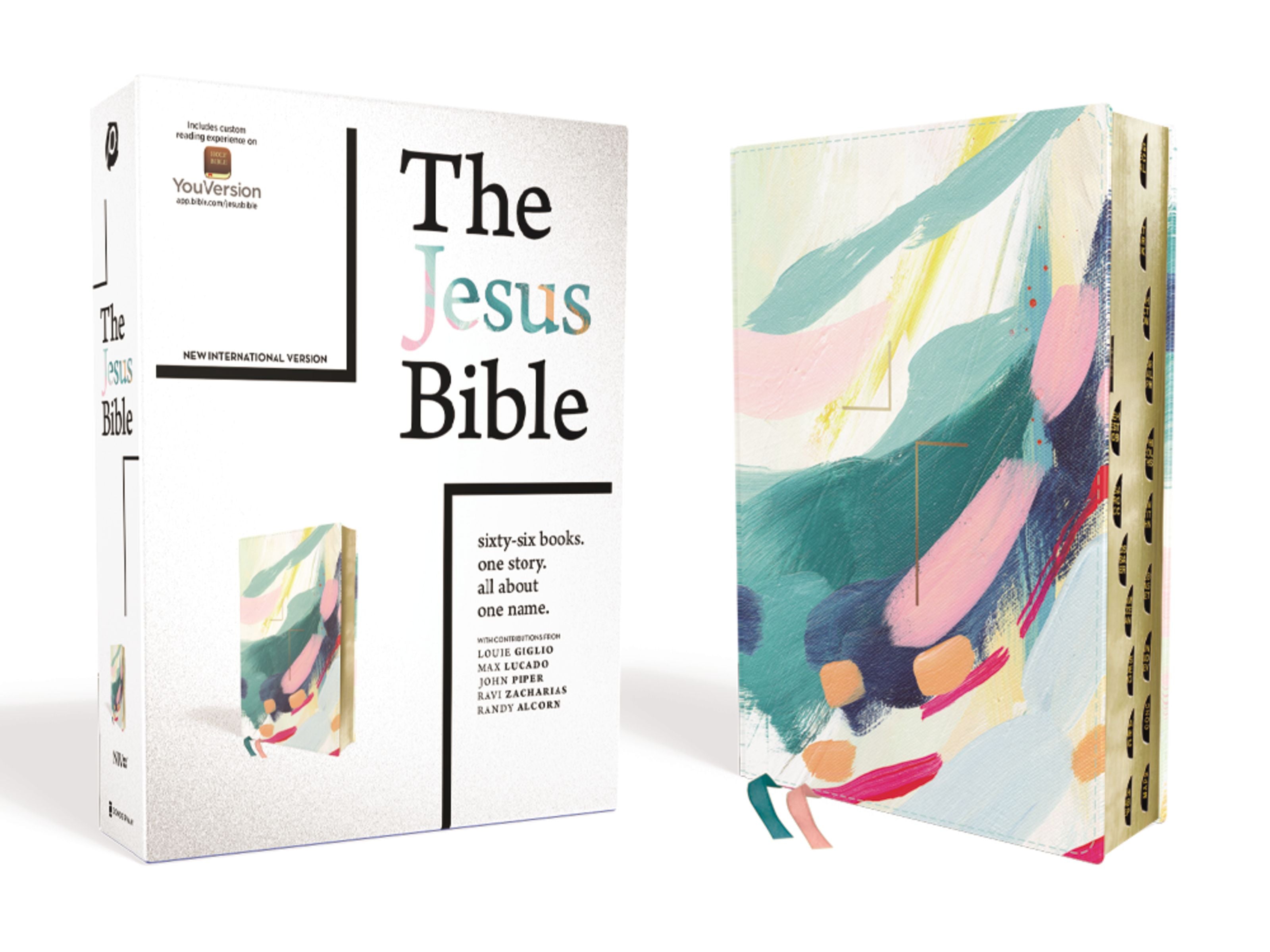 NIV Jesus Bible Artist Edition Multi-Color/Teal Thumb Indexed