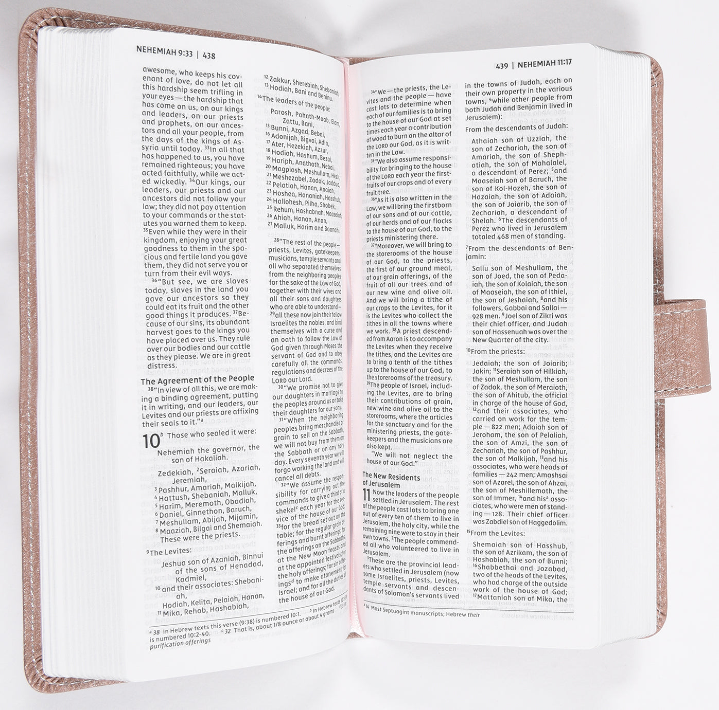 NIV Pocket Thinline Bible Pink Snap Closure (Red Letter Edition)