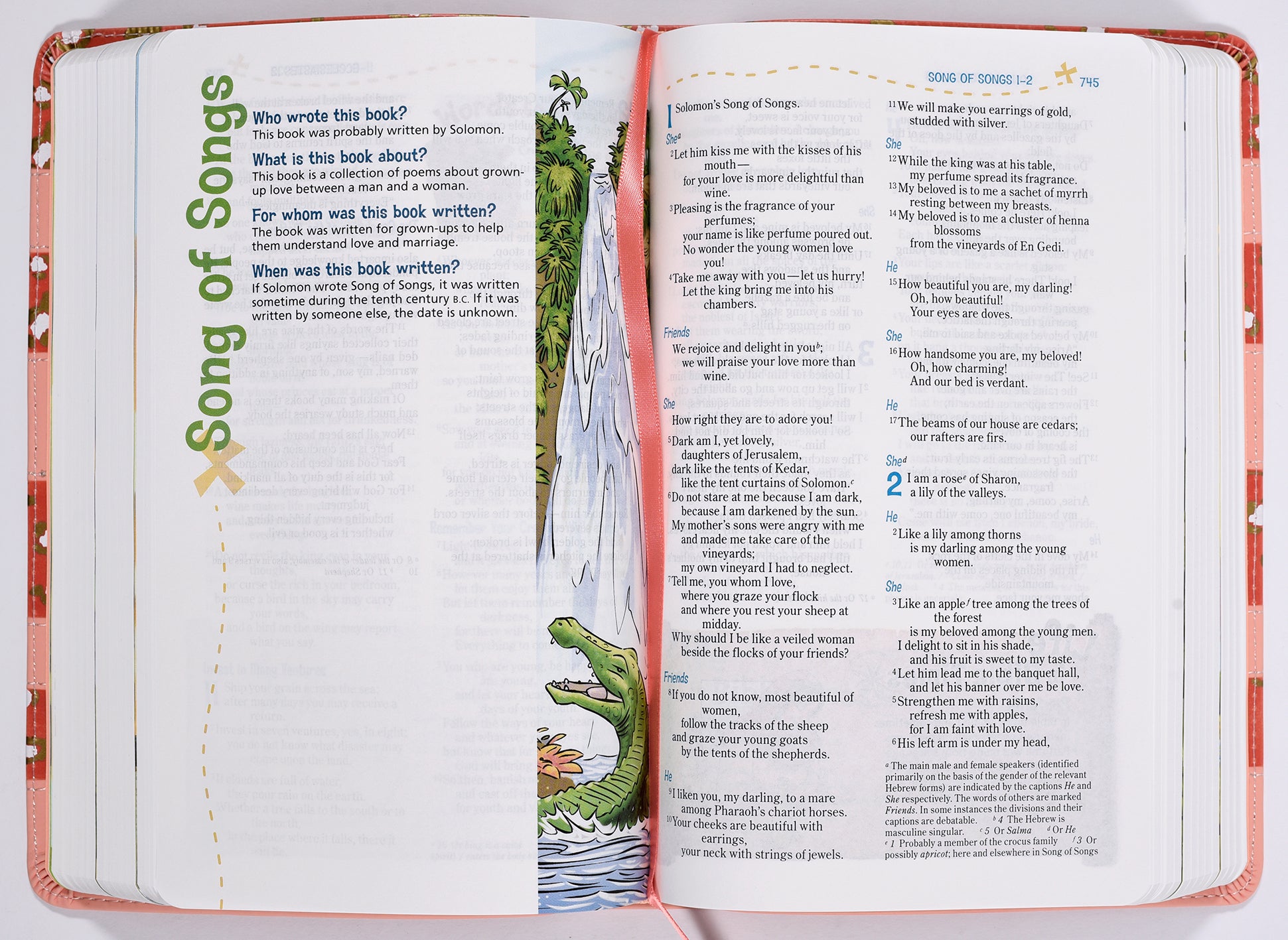 NIV Adventure Bible Coral (Black Letter Edition)