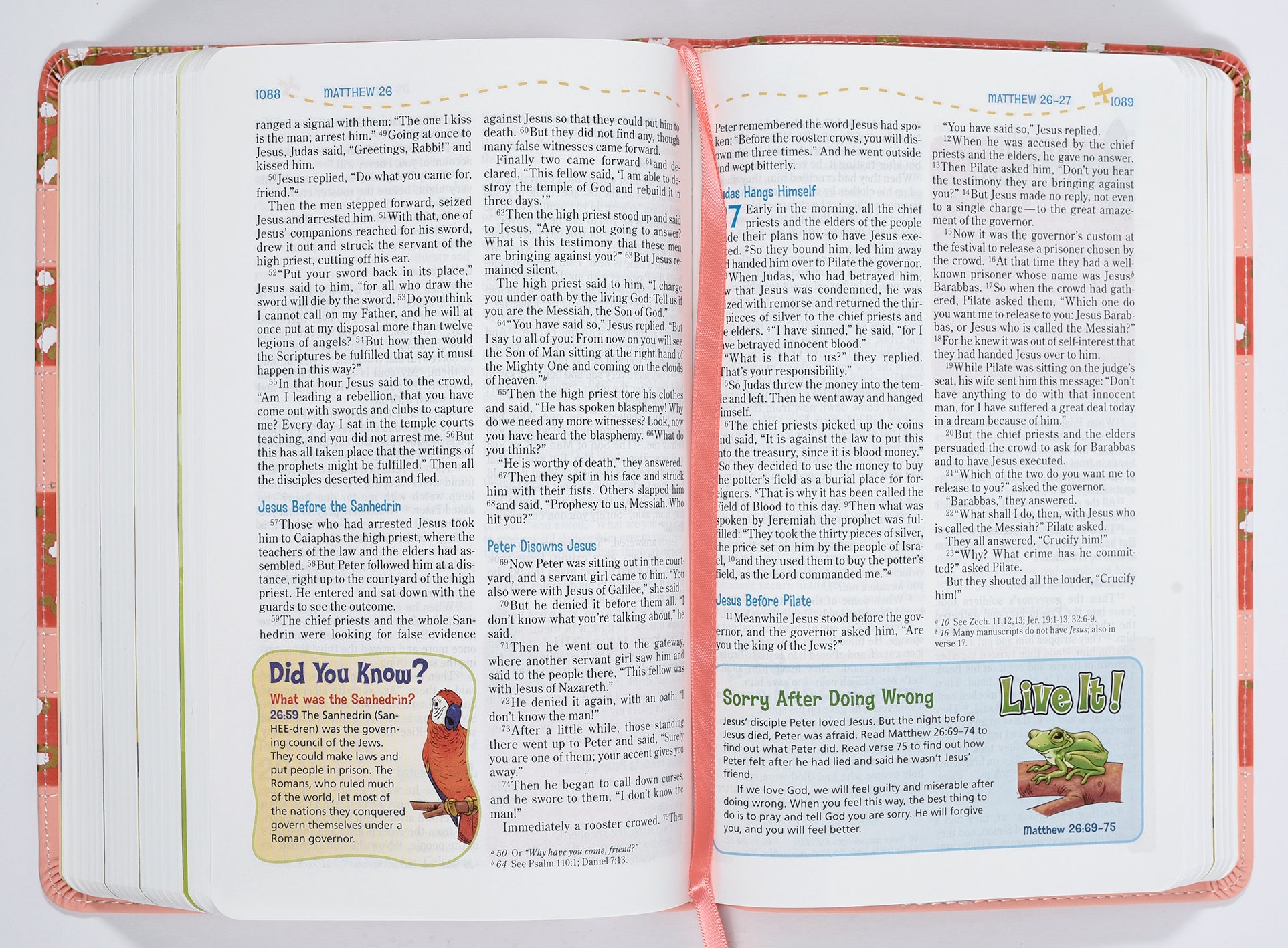 NIV Adventure Bible Coral (Black Letter Edition)